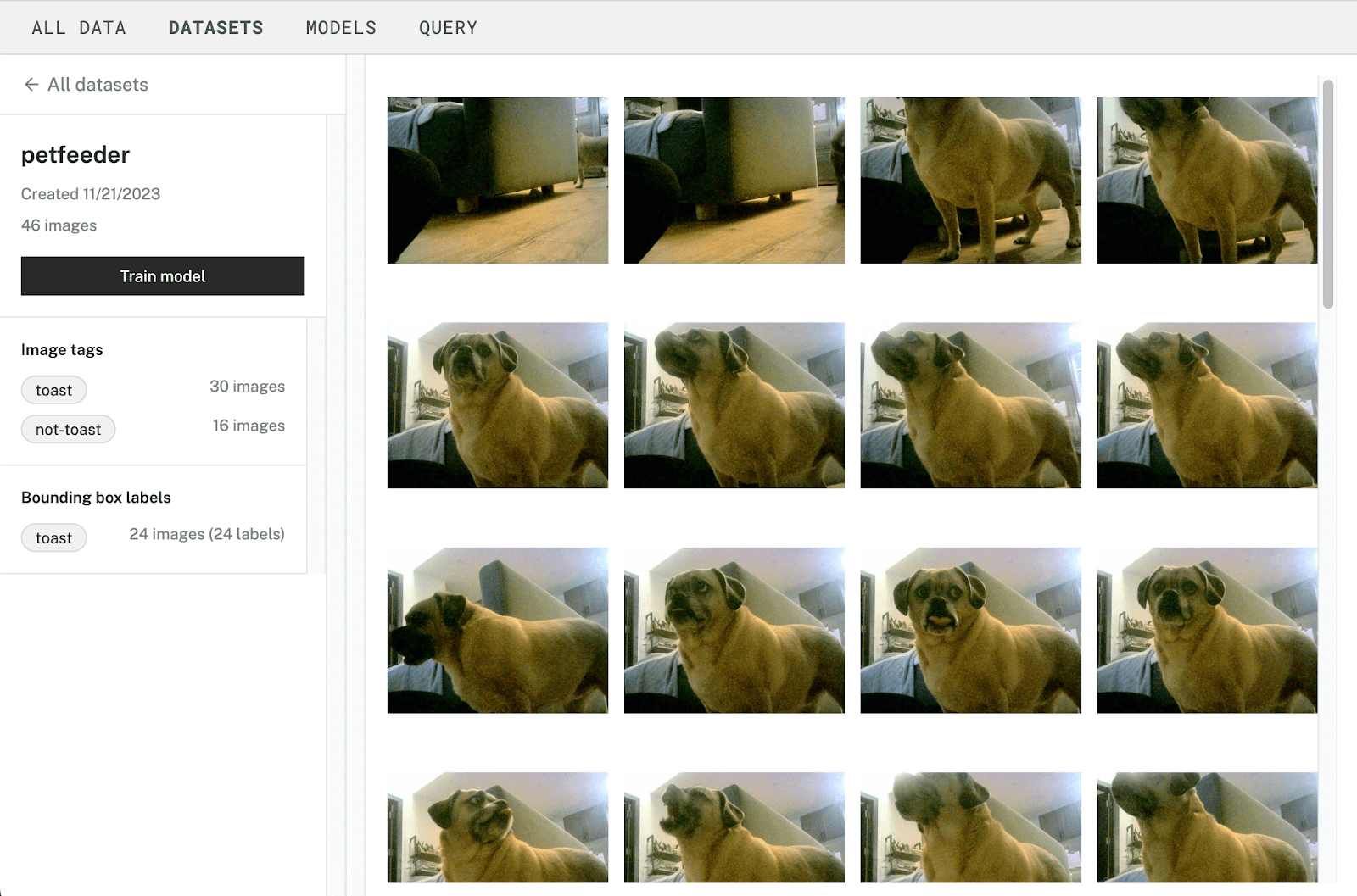 My DIY dog feeder’s dataset featuring the image tags and bounding box labels highlighting my dog, Toast.