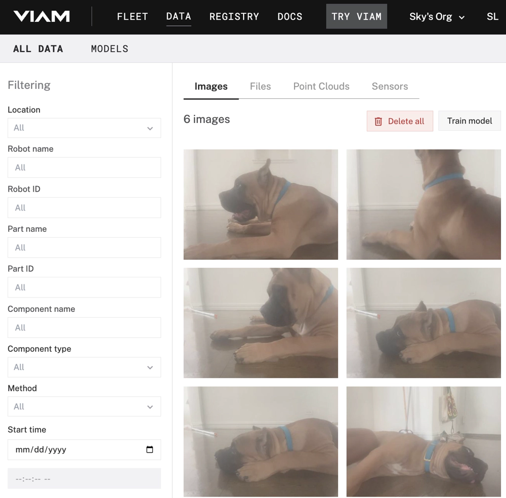 The data filtering module in action, selecting only images featuring a dog to store in the cloud.