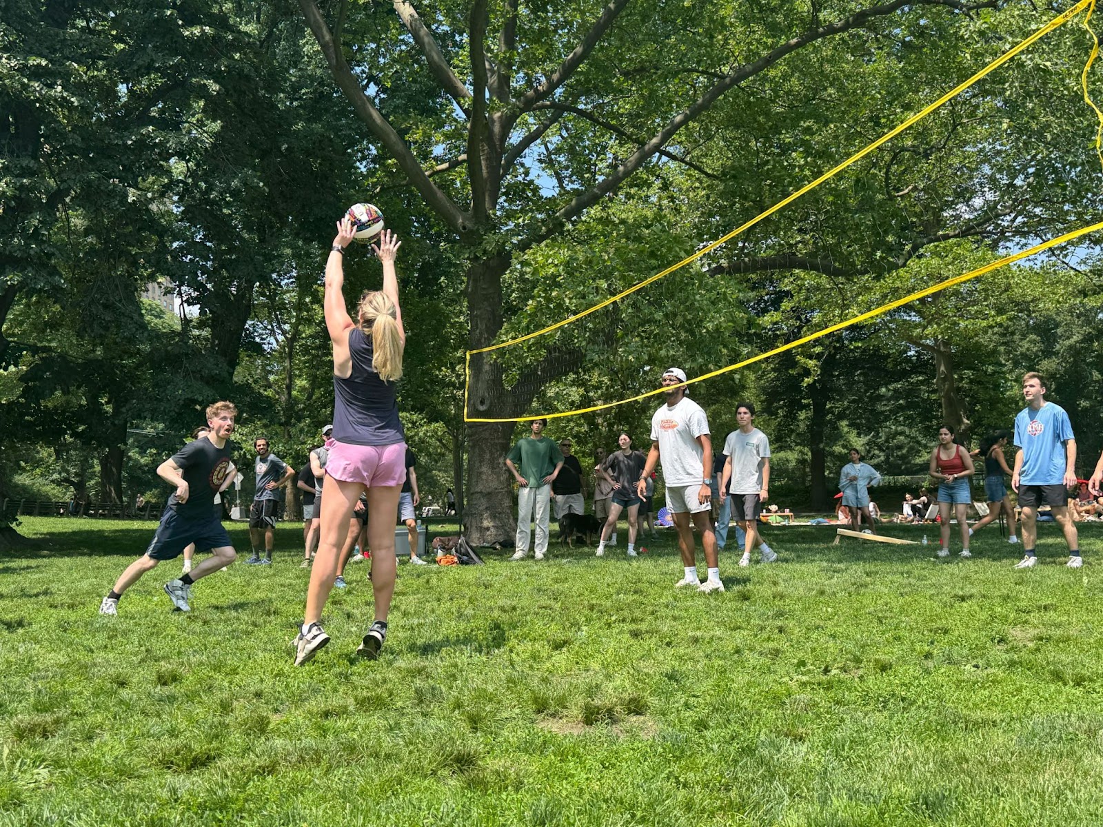 Viam team members engaged in a lively game of volleyball