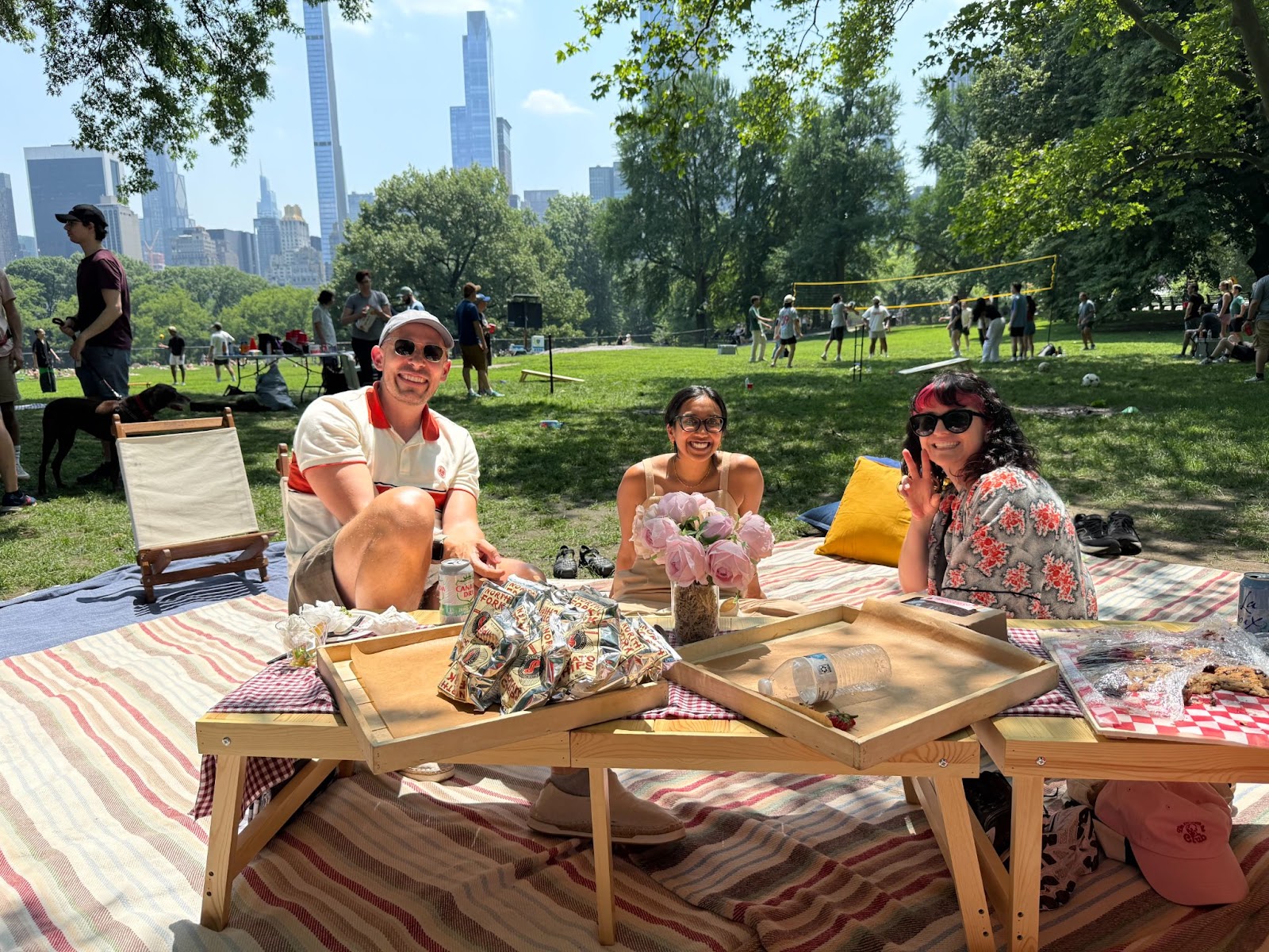 Viam team members enjoying a picnic in Central Park