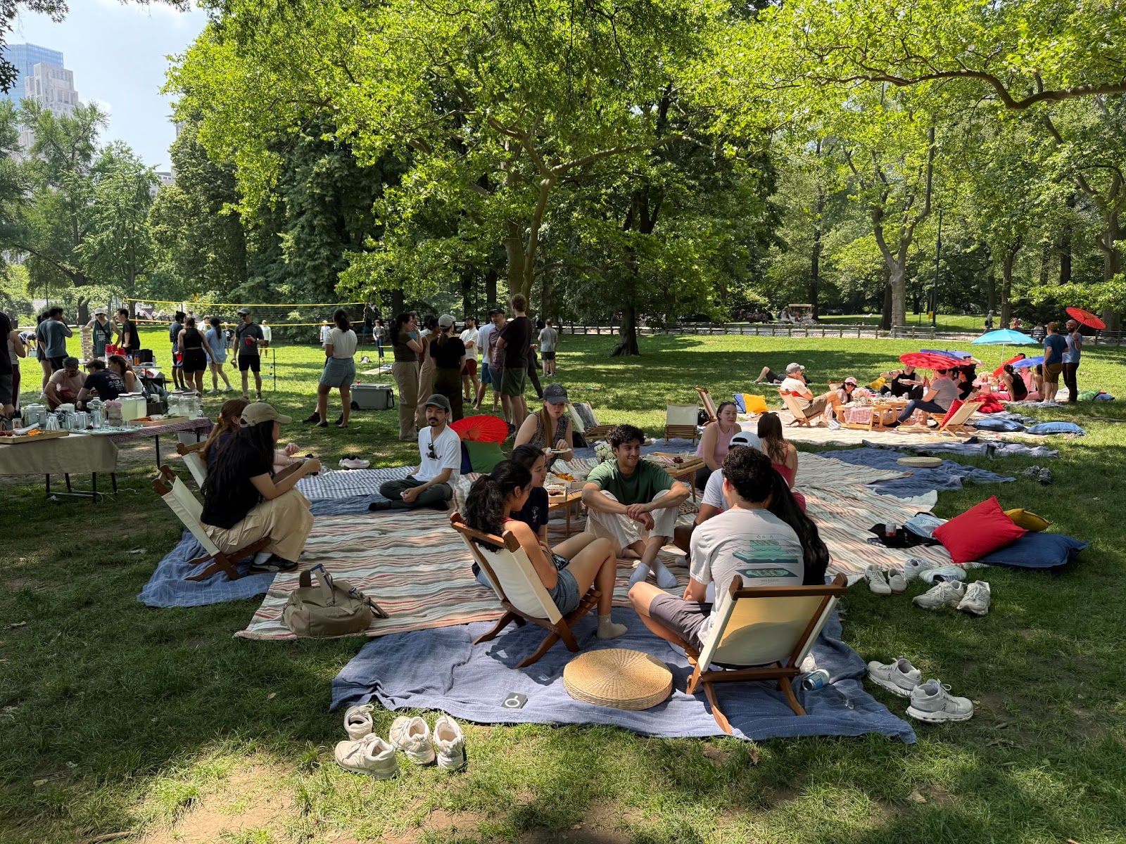 Viam team members enjoying a picnic in Central Park