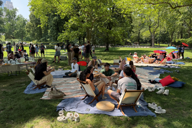 Photo of Viam team socializing, sitting on picnic blankets and lawn chairs in Central Park