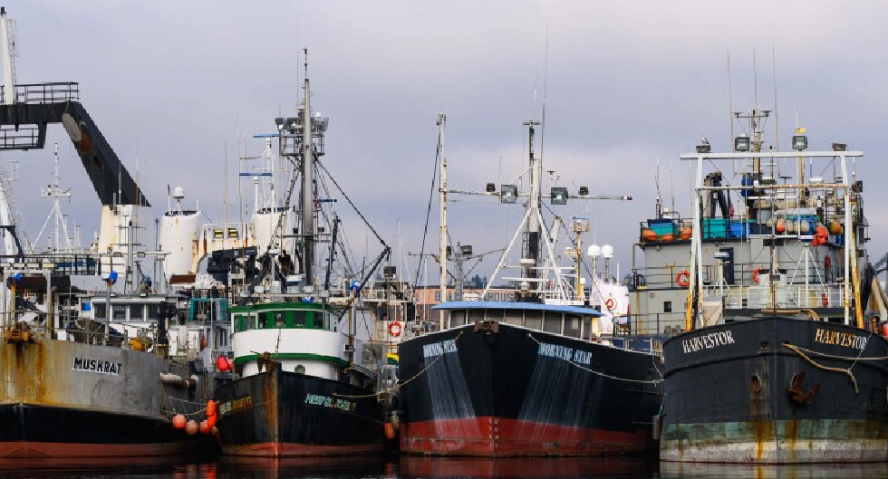 A photo of a shipyard