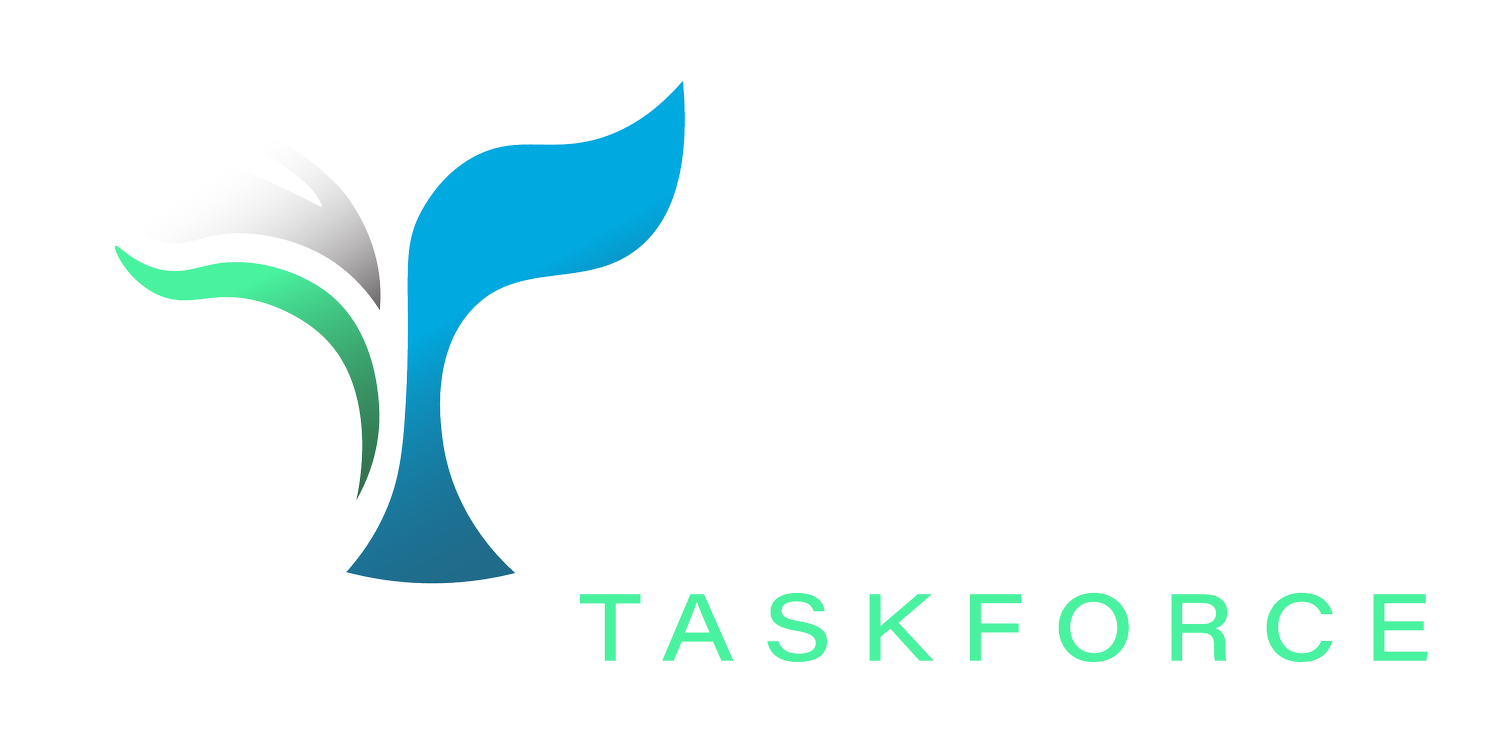 WAVS Taskforce logo