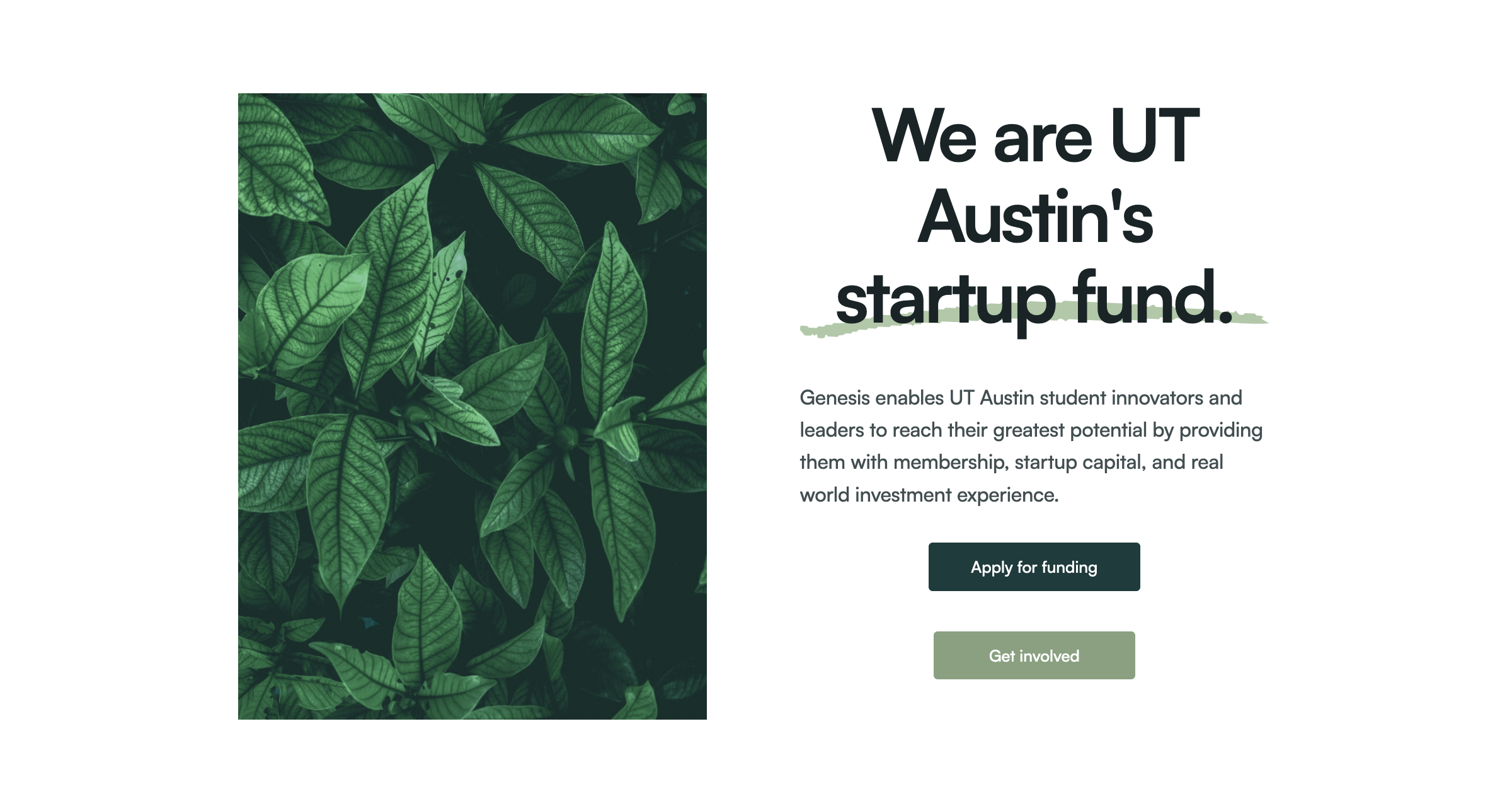 Genesis Program | We are UT Austin's Startup Fund