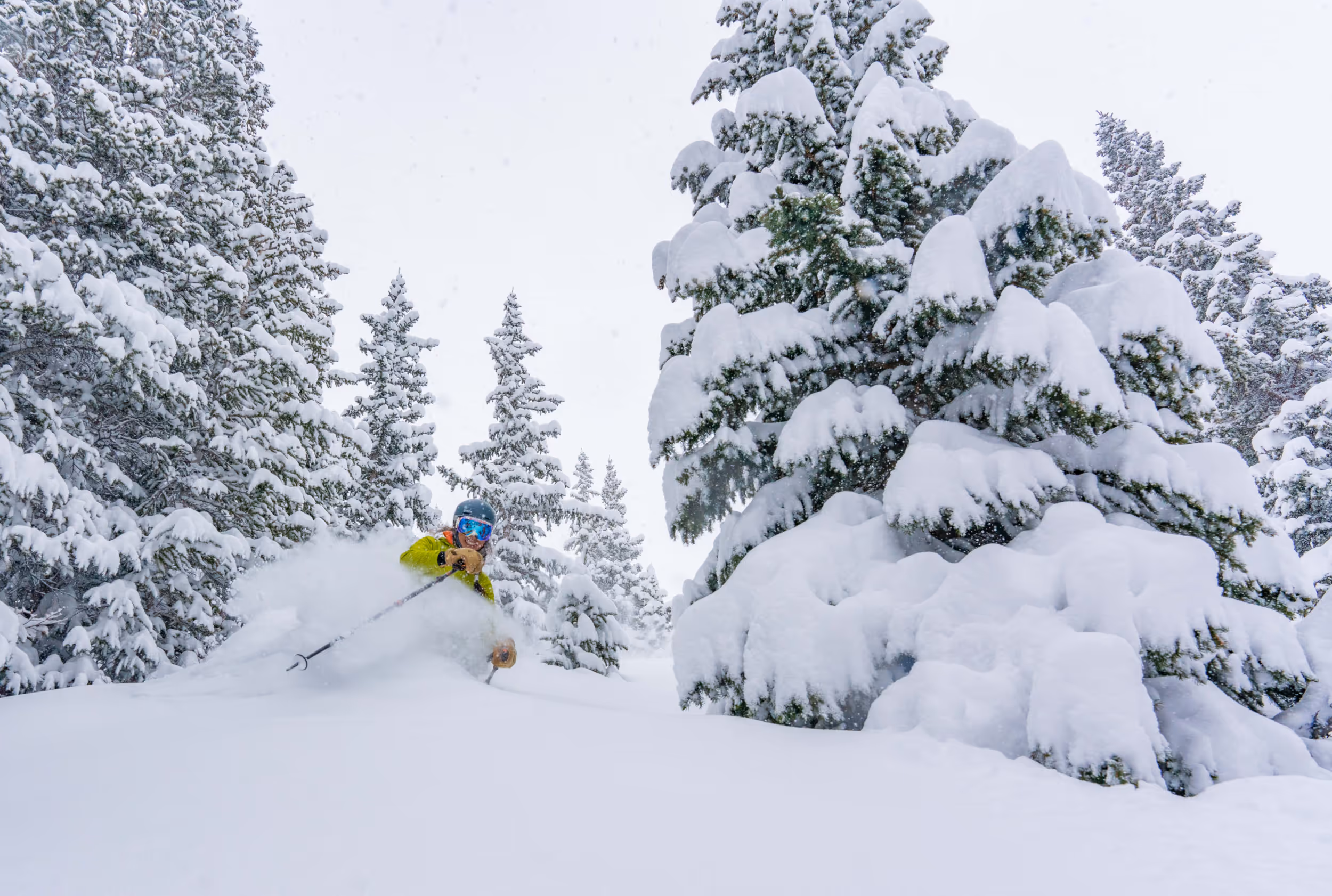 A skier enjoying some POW turns 