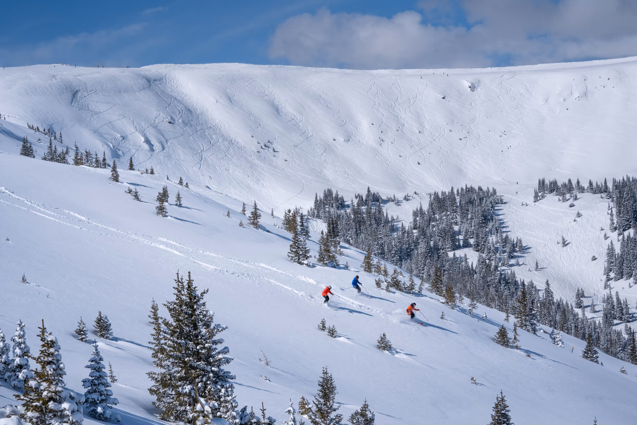 Some skiers bombing it down a sick pow run 