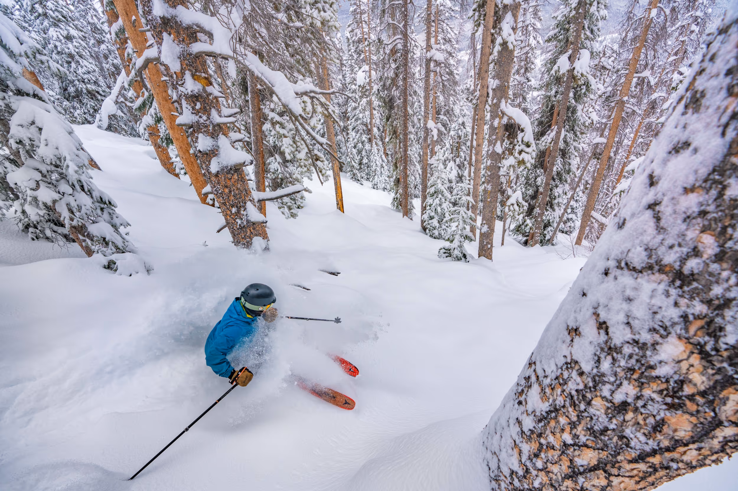 A skier enjoying some steep tree runs at Winter Park 