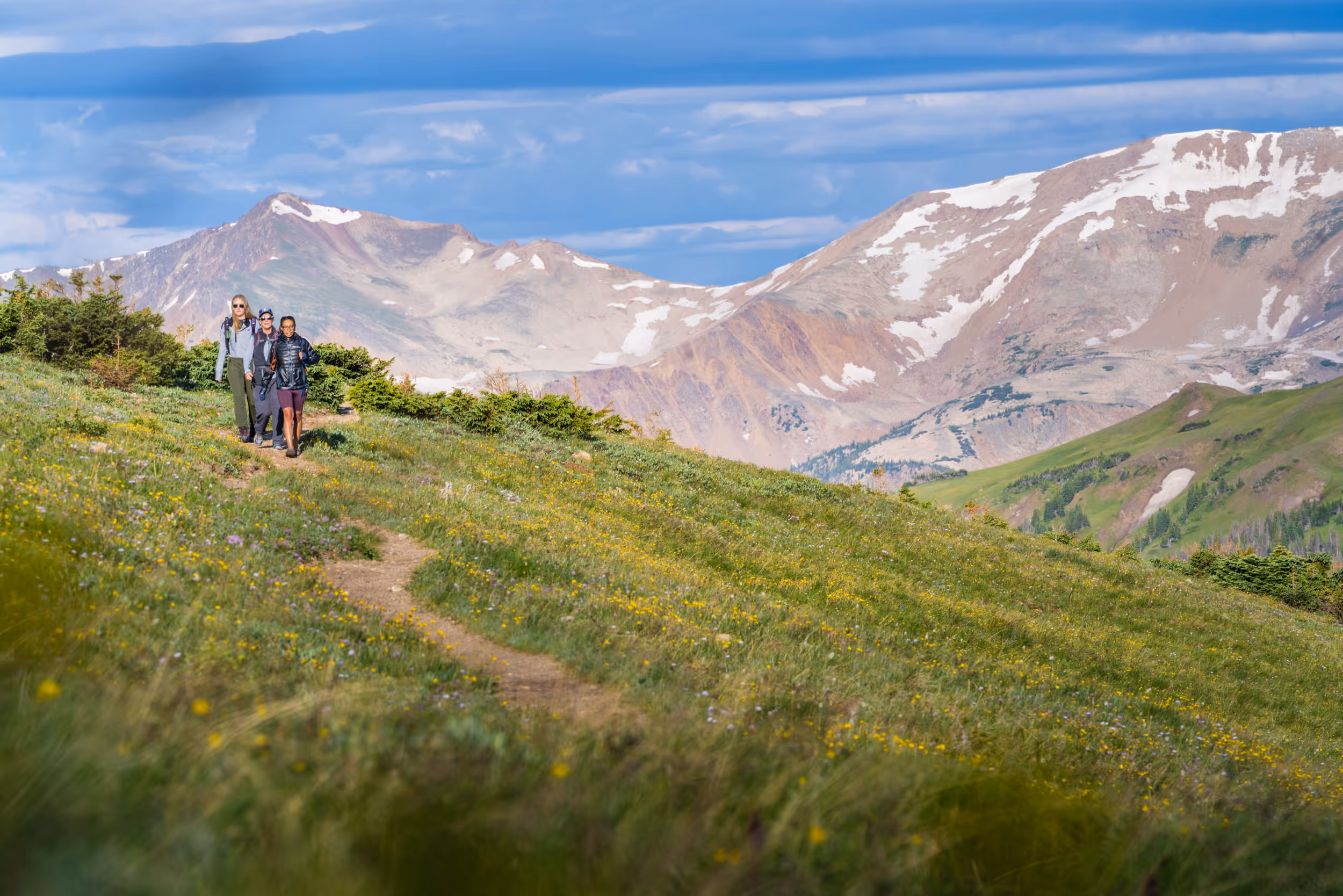 Some hikers hiking across an alpine meadow with snow capped mountains in the background