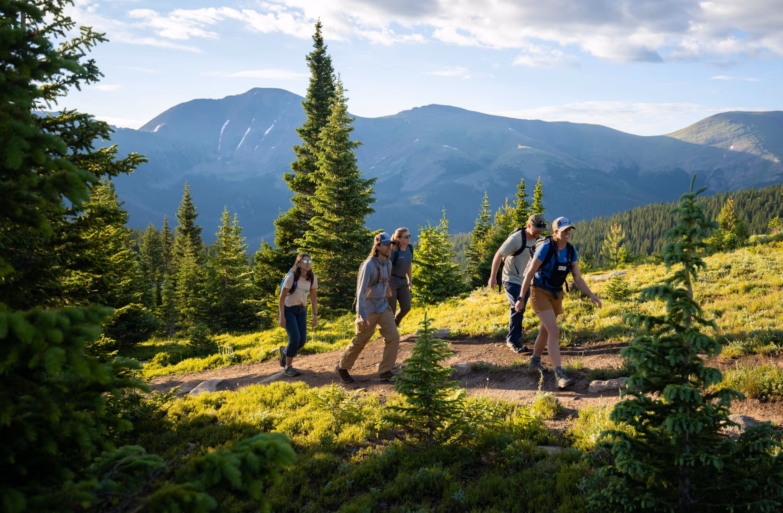 Some hikers trekking through an alpine meadow 