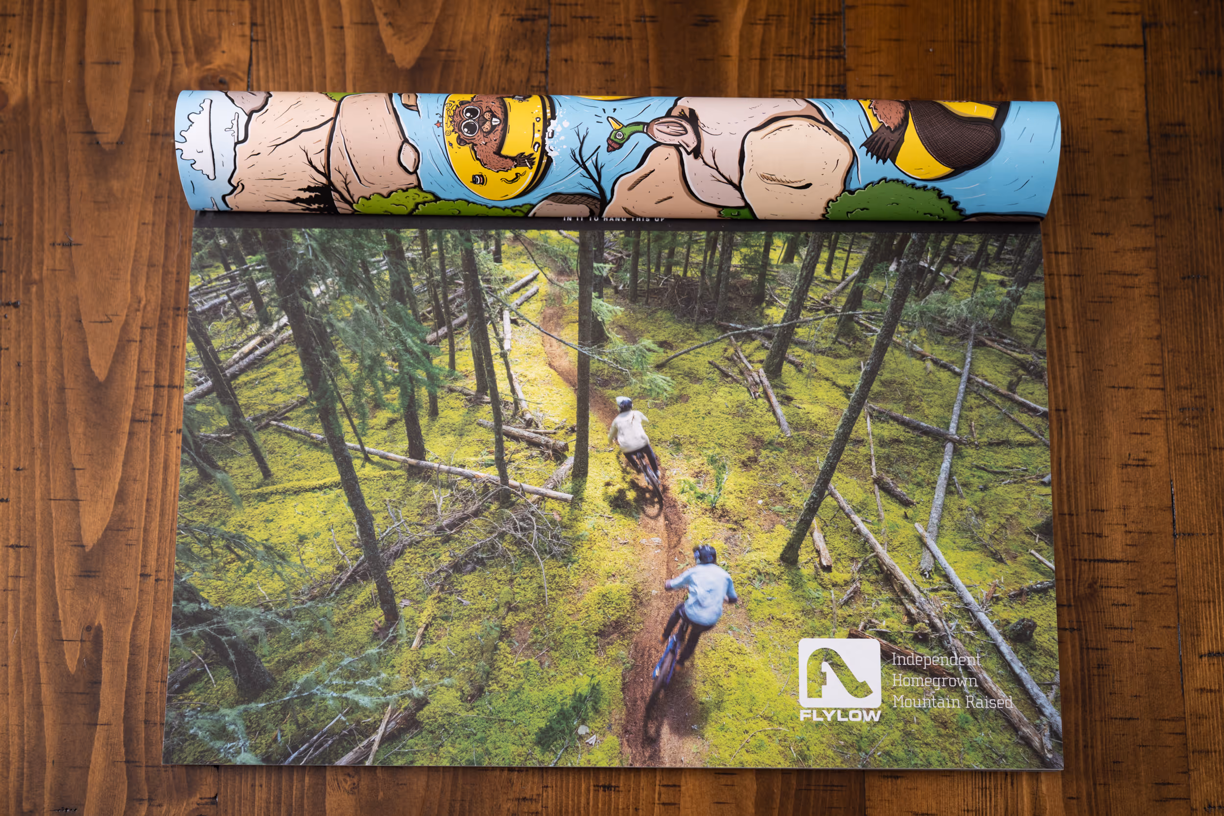 A forested mountain bike image captured by Charles Stemen Studio that appeared in the Mountain Gazette as an advertisement