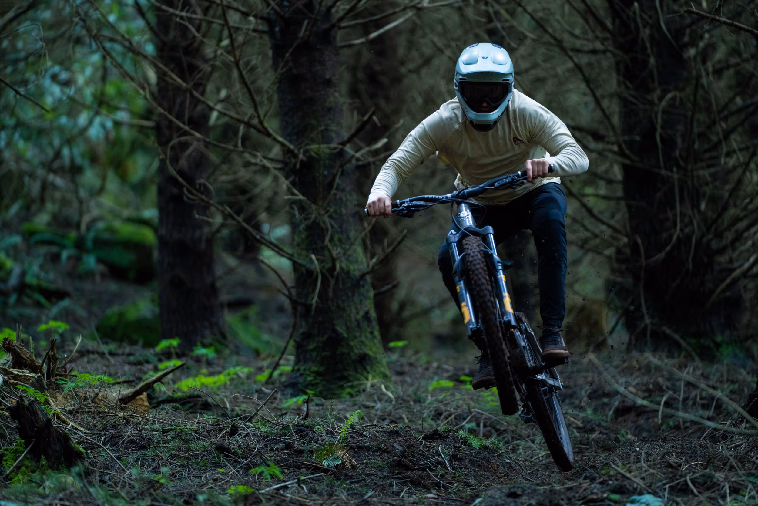 A mountain biker getting a little jump in the middle of a forested trail 