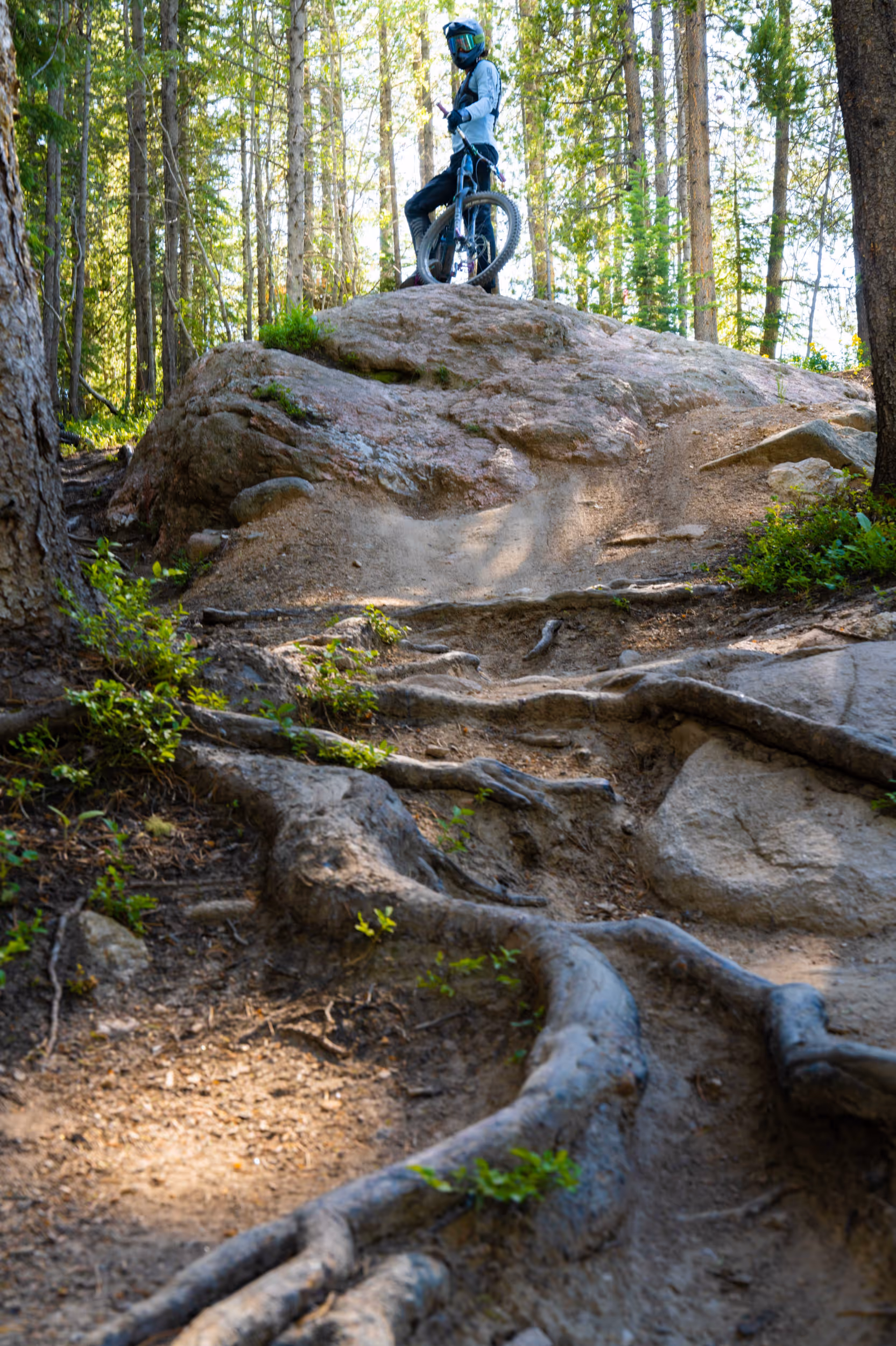 A mountain biker at the top of a drop in feature scoping out the line 