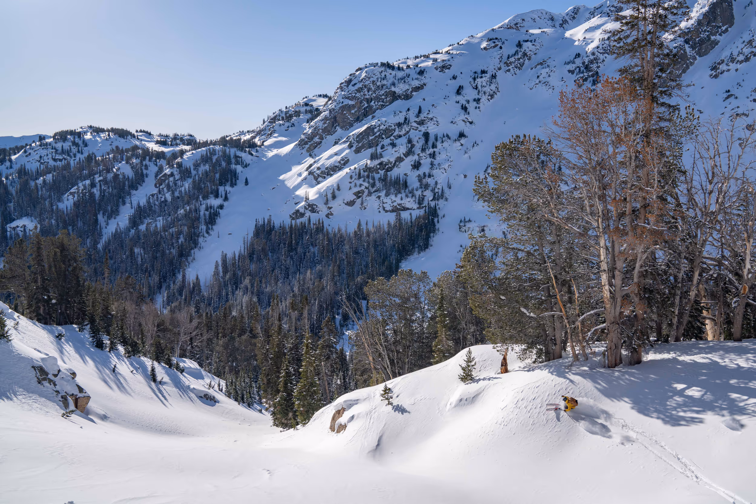 A skier skiing down a gully