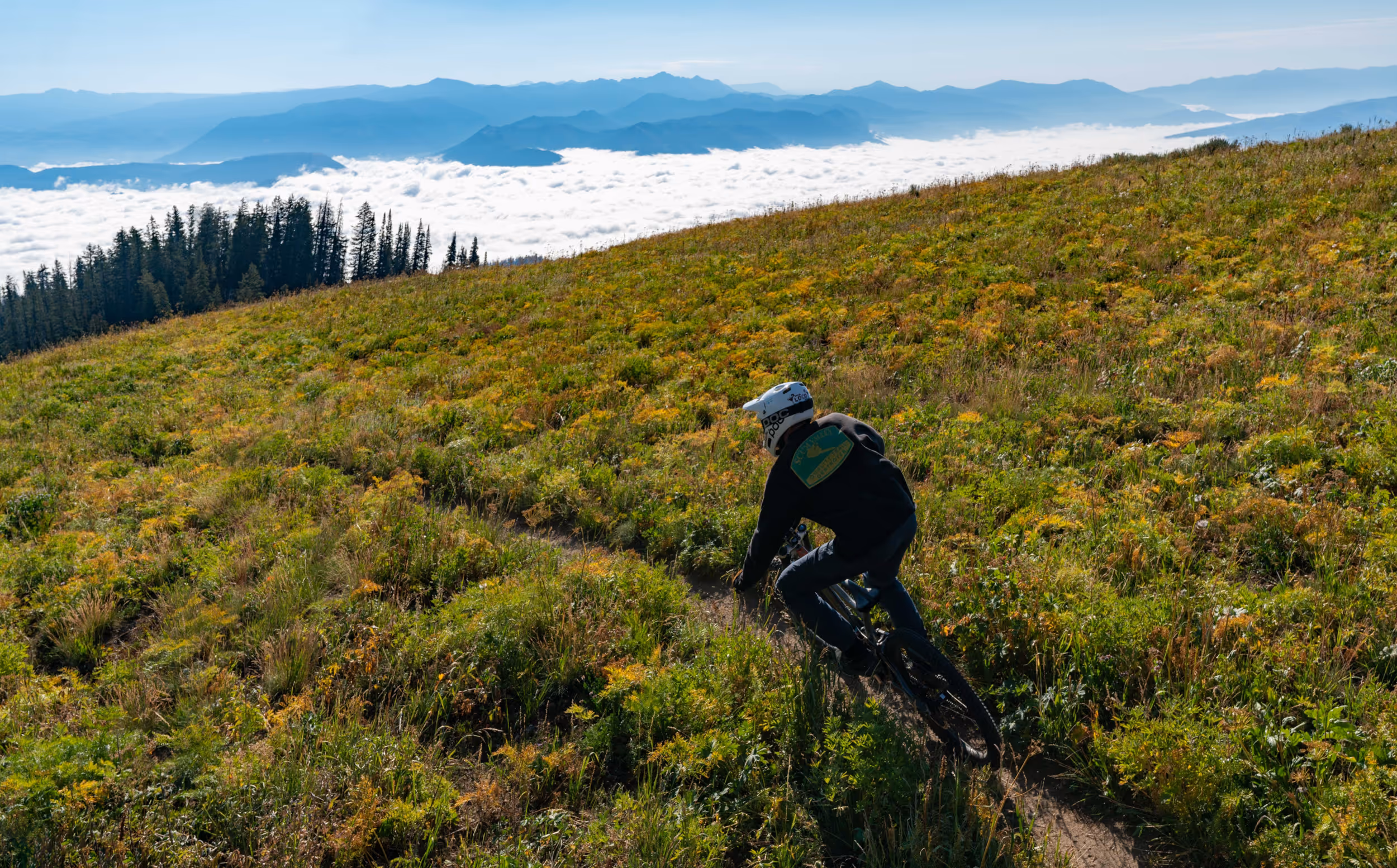 A mountain biker ripping through an alpine meadow section of trail 