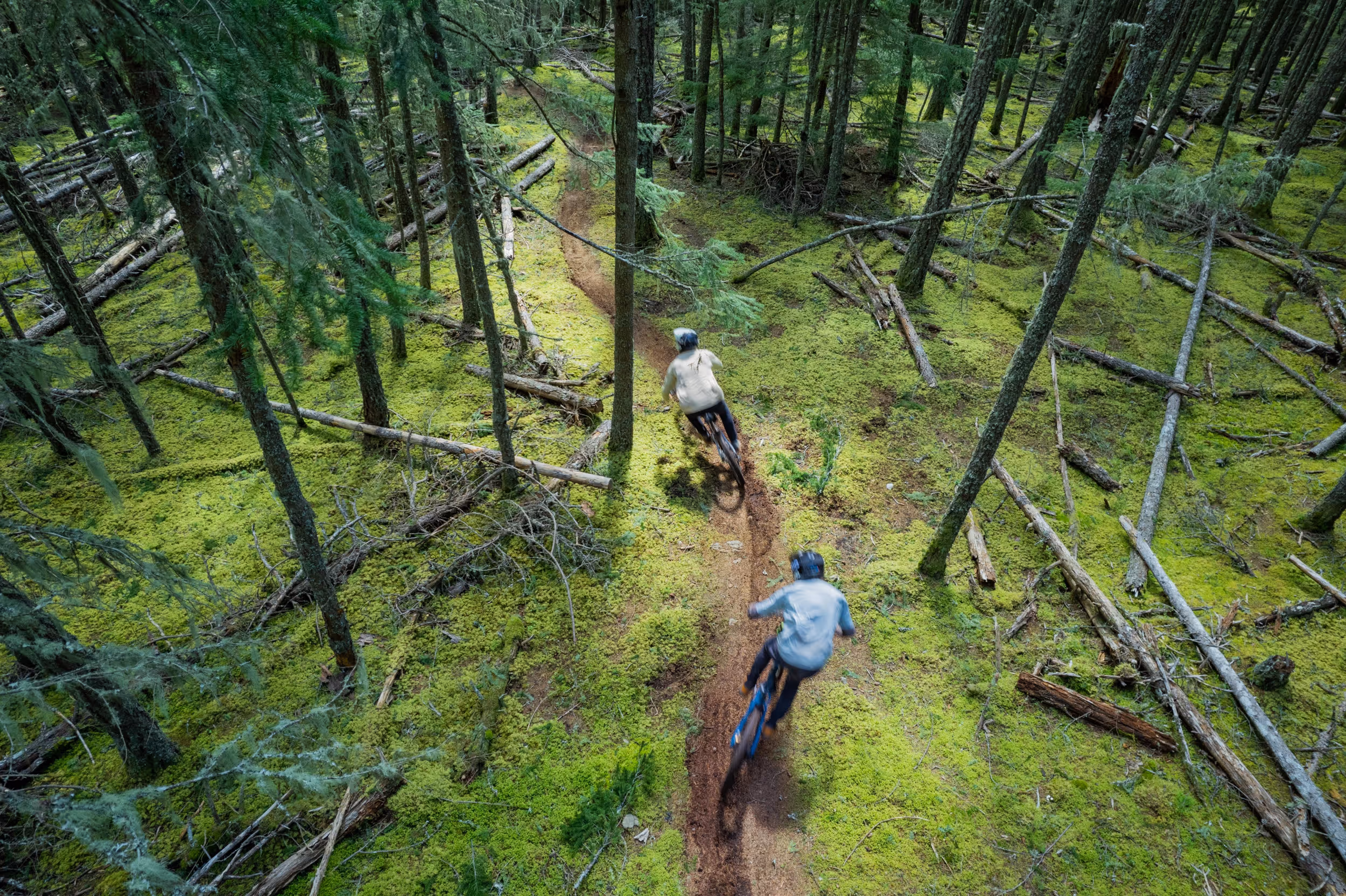 A birds eye view of mountain bikers ripping through a mossy forested trail
