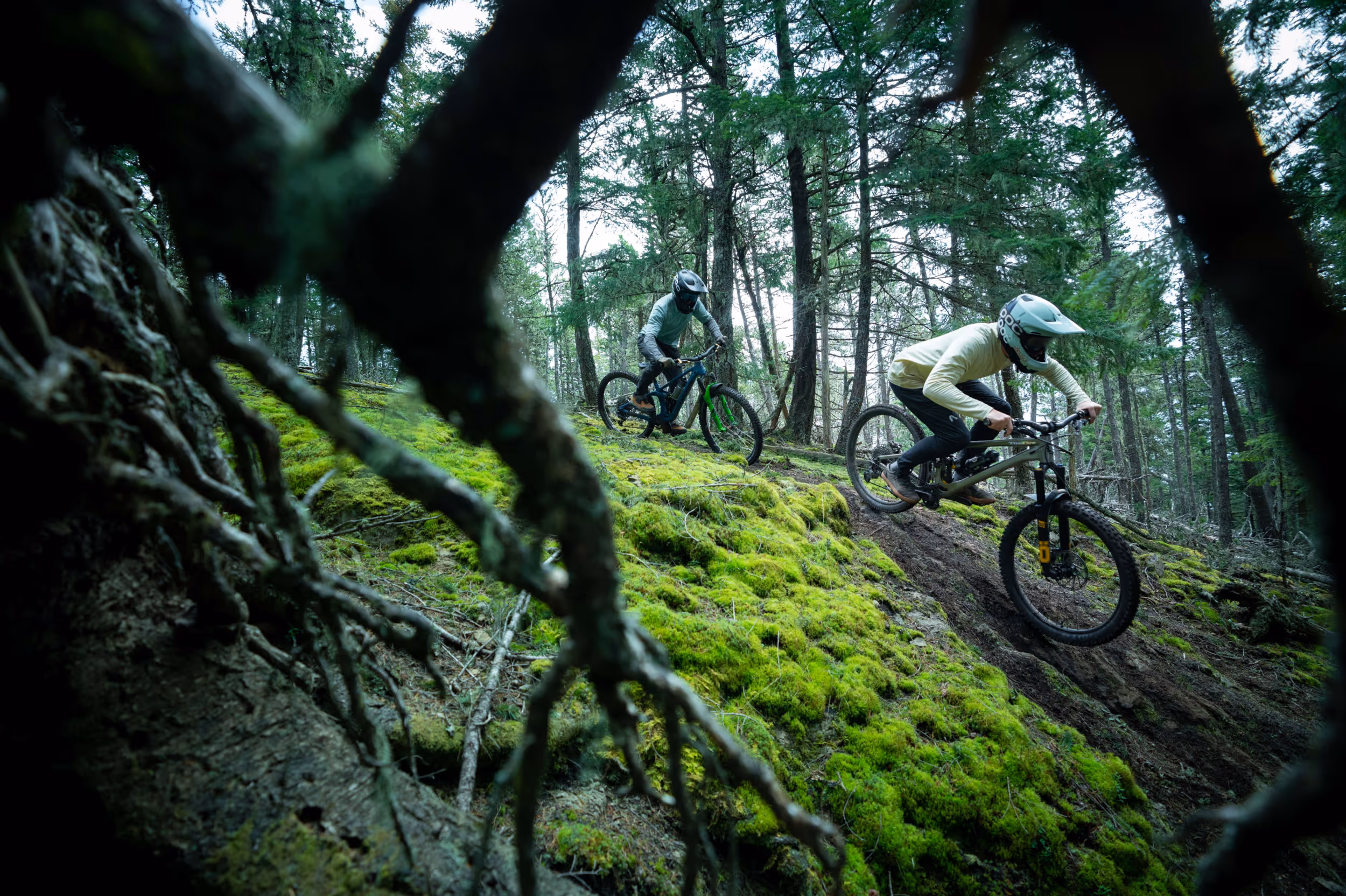 Two mountain bikers shot through a root ball