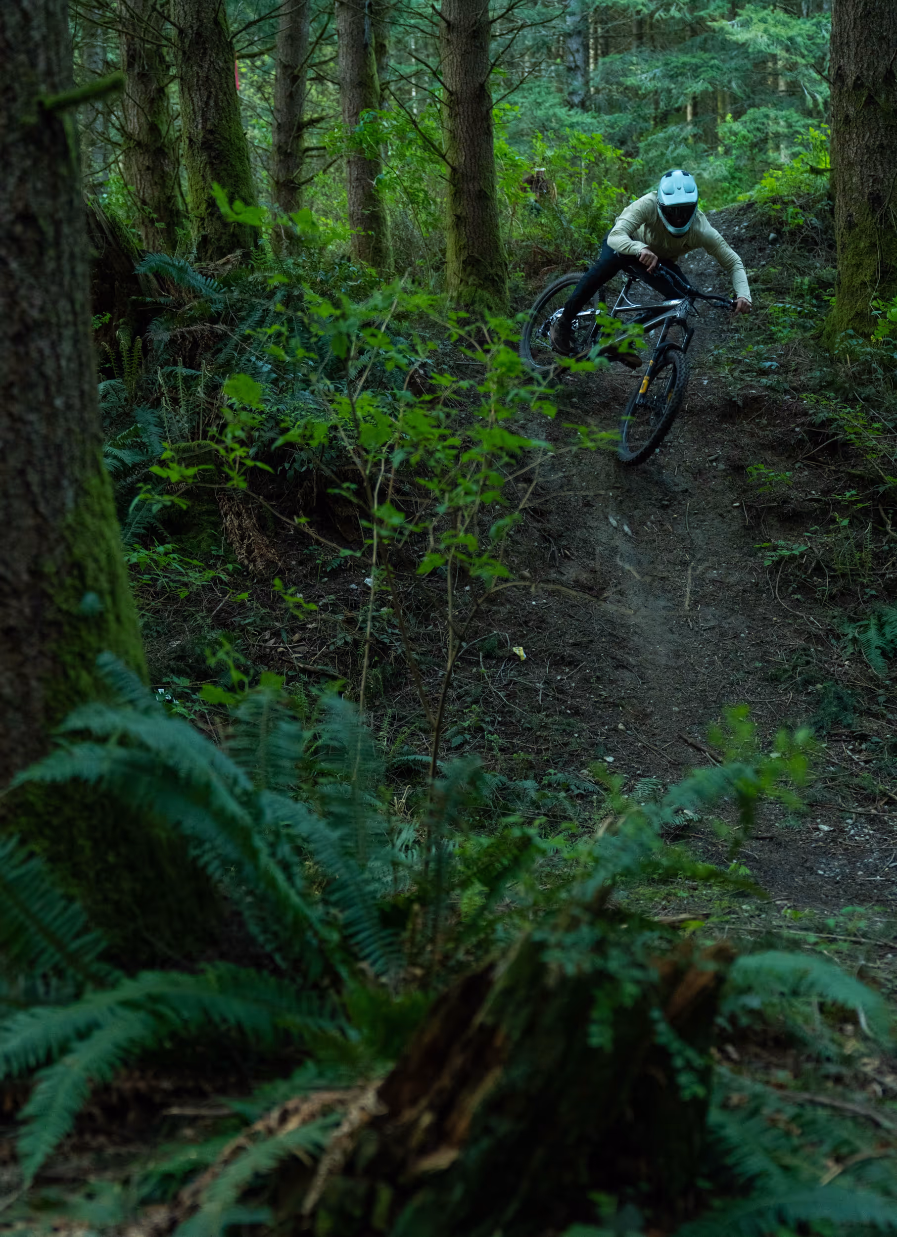 Mountain Biker on dark loamy trail