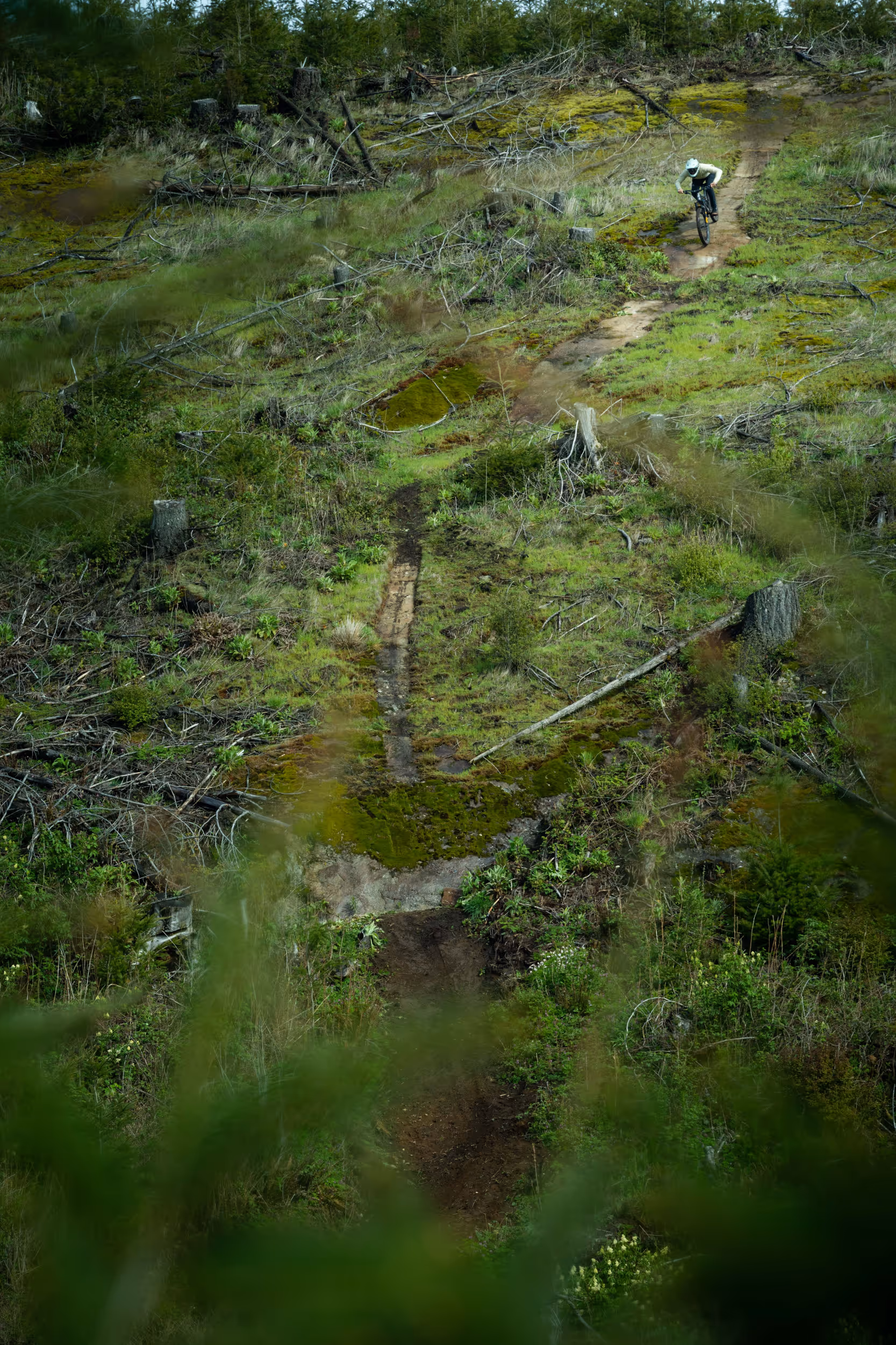 A mountain biker coming down a steep section of trail 
