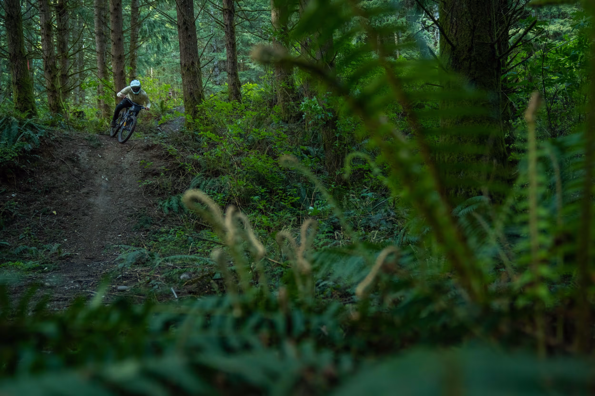 A mountain biker coming down a forested section of trail 