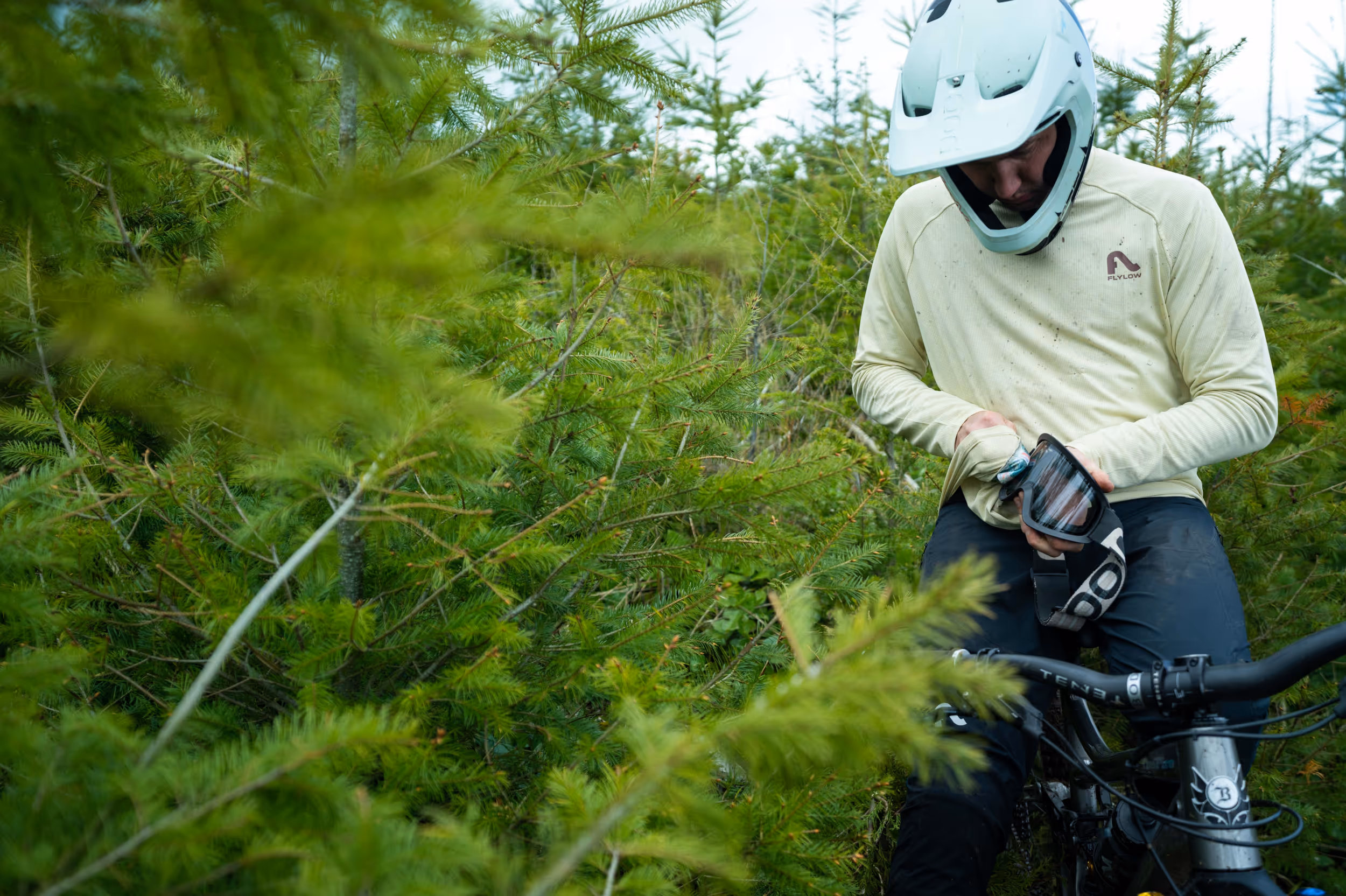 A mountain biker appreciated some new growth on some young coniferous trees along the trail 