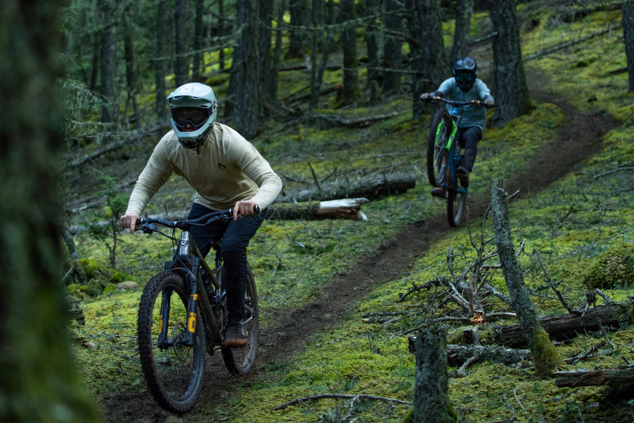 Some mountain bikers coming down a forested trail 