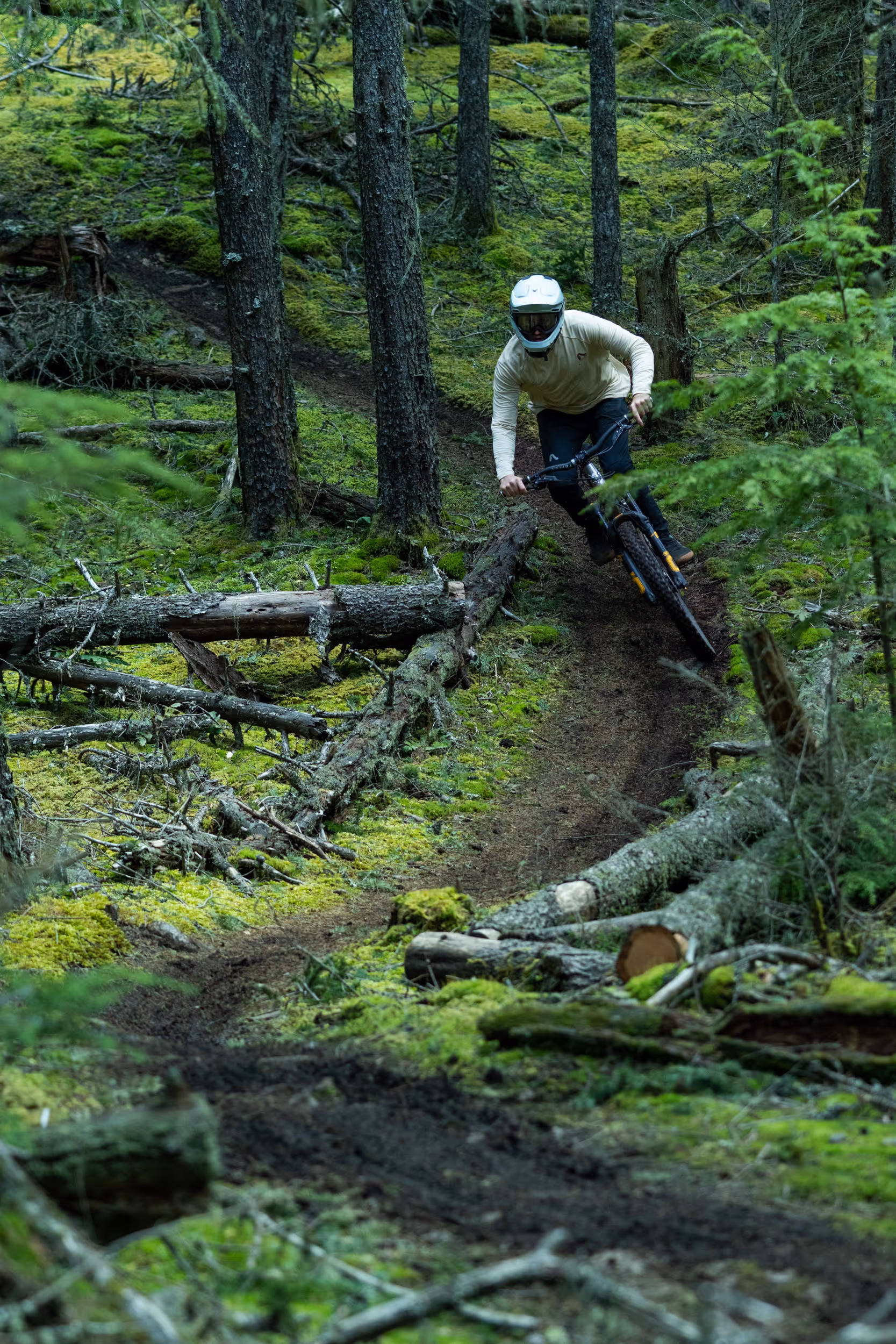 A mountain biker ripping a berm in the middle of a mossy forest 