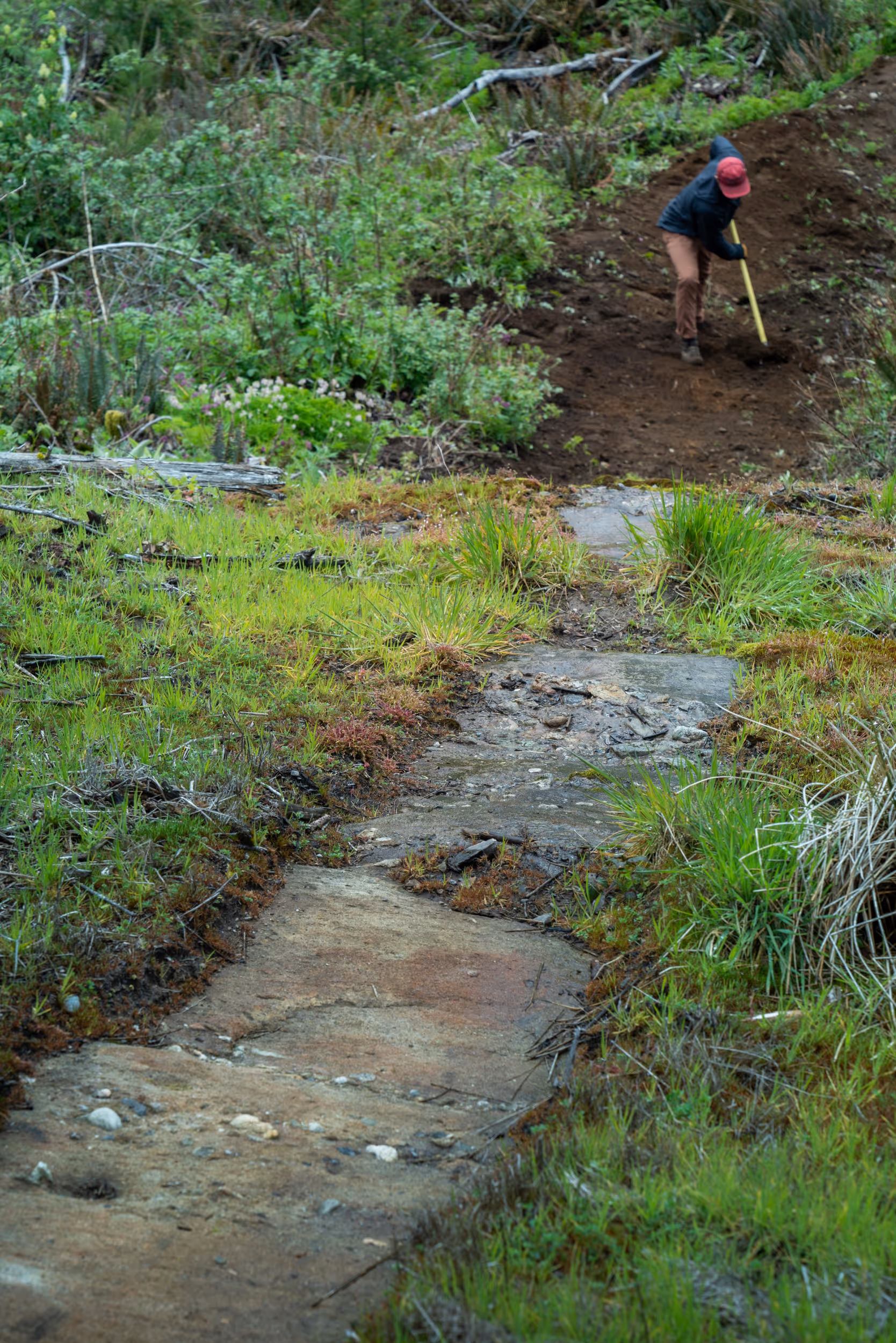 A mountain biker dropping in on a steep section of trail 