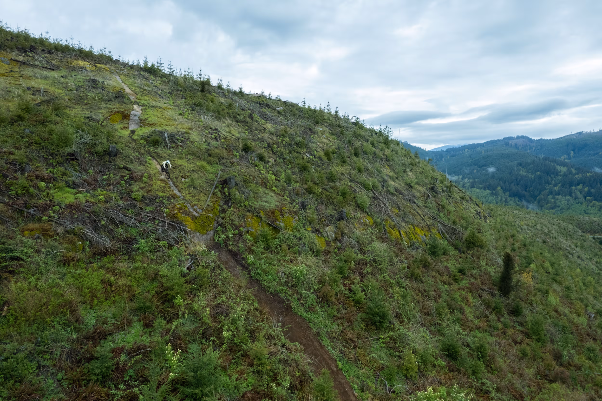 A mountain biker on a steep trail 