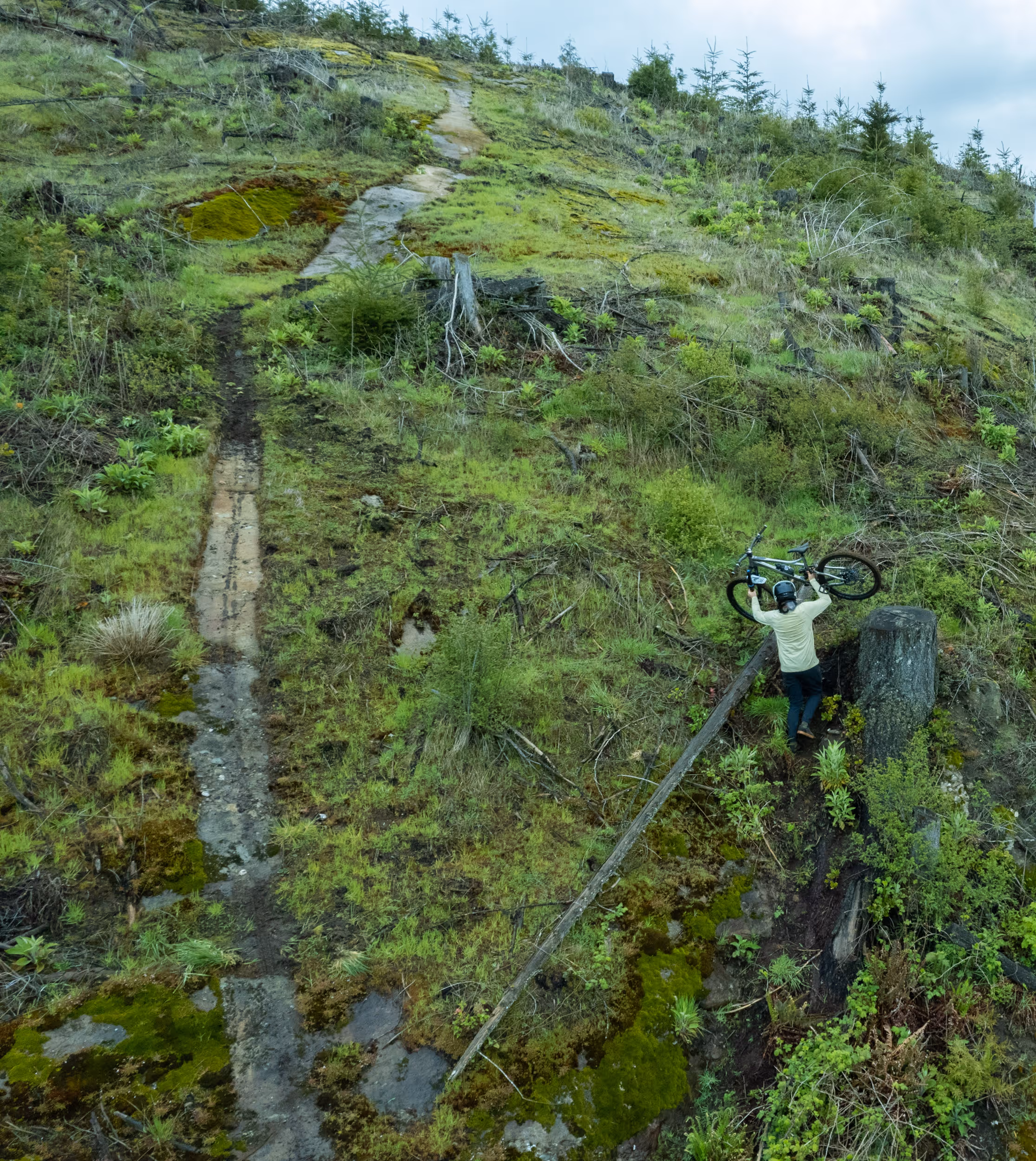 A mountain biker carrying their bike up a steep section of trail 