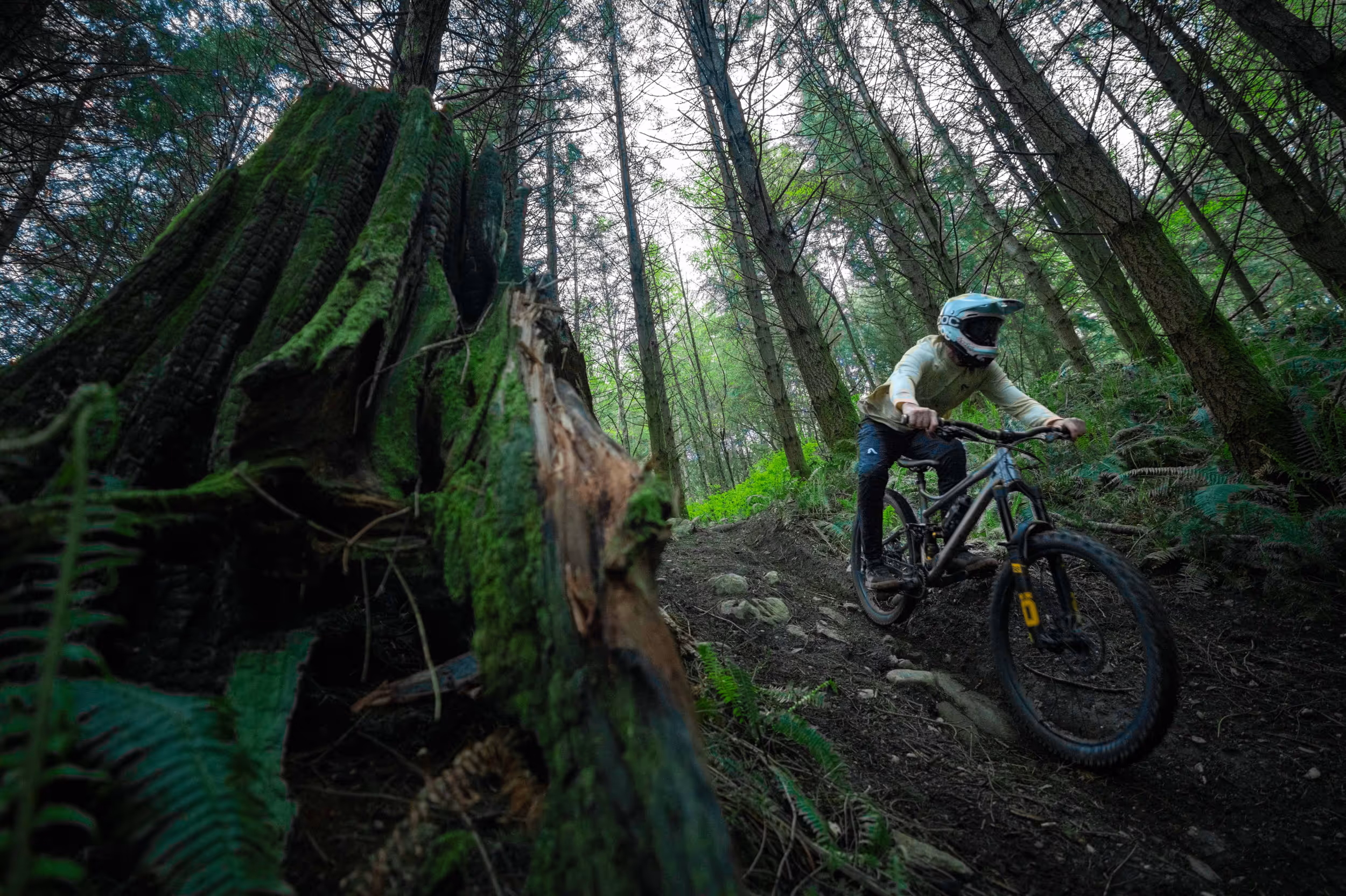 A mountain biker riding through some trees 
