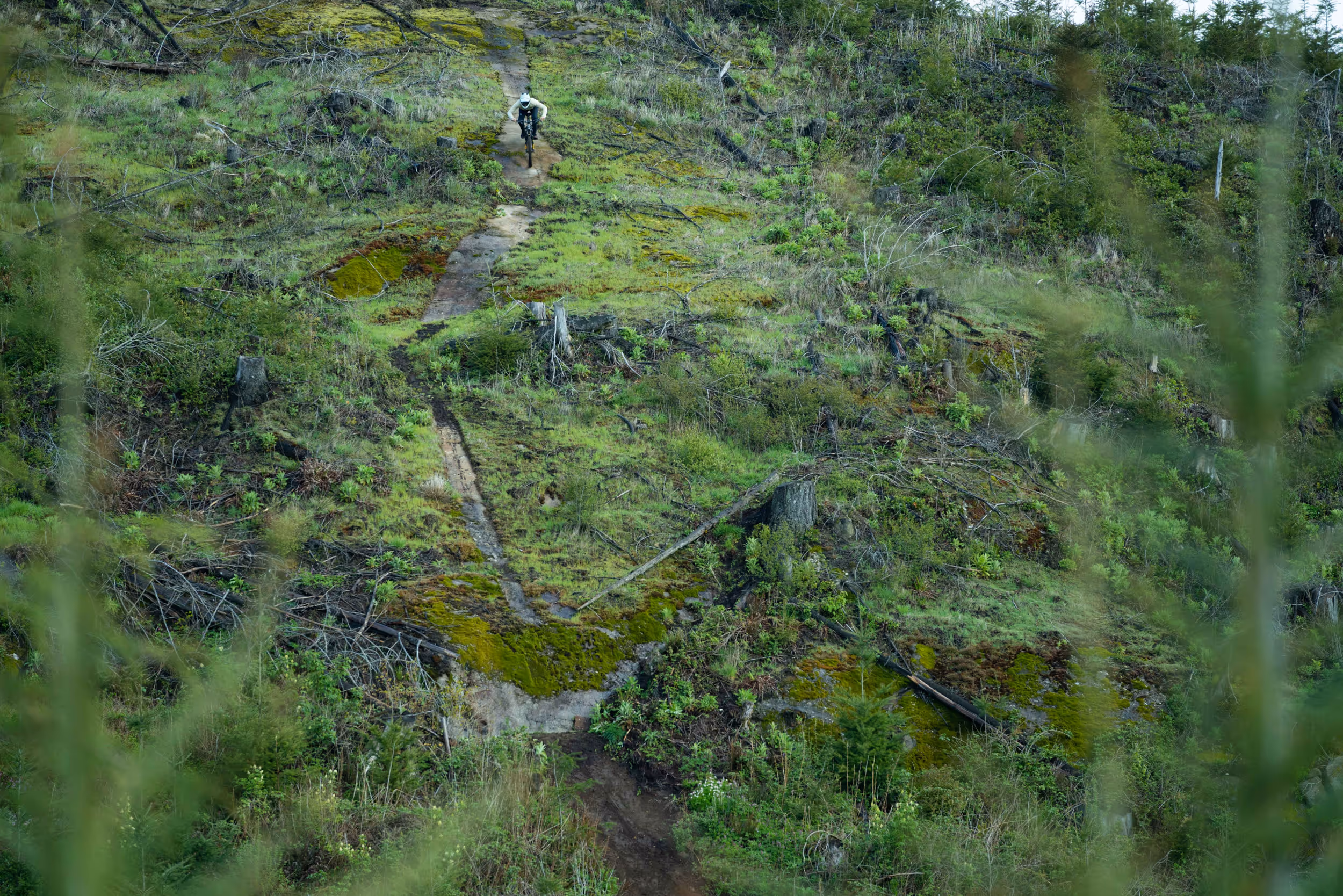 A mountain biker coming down a steep fern-covered trail 