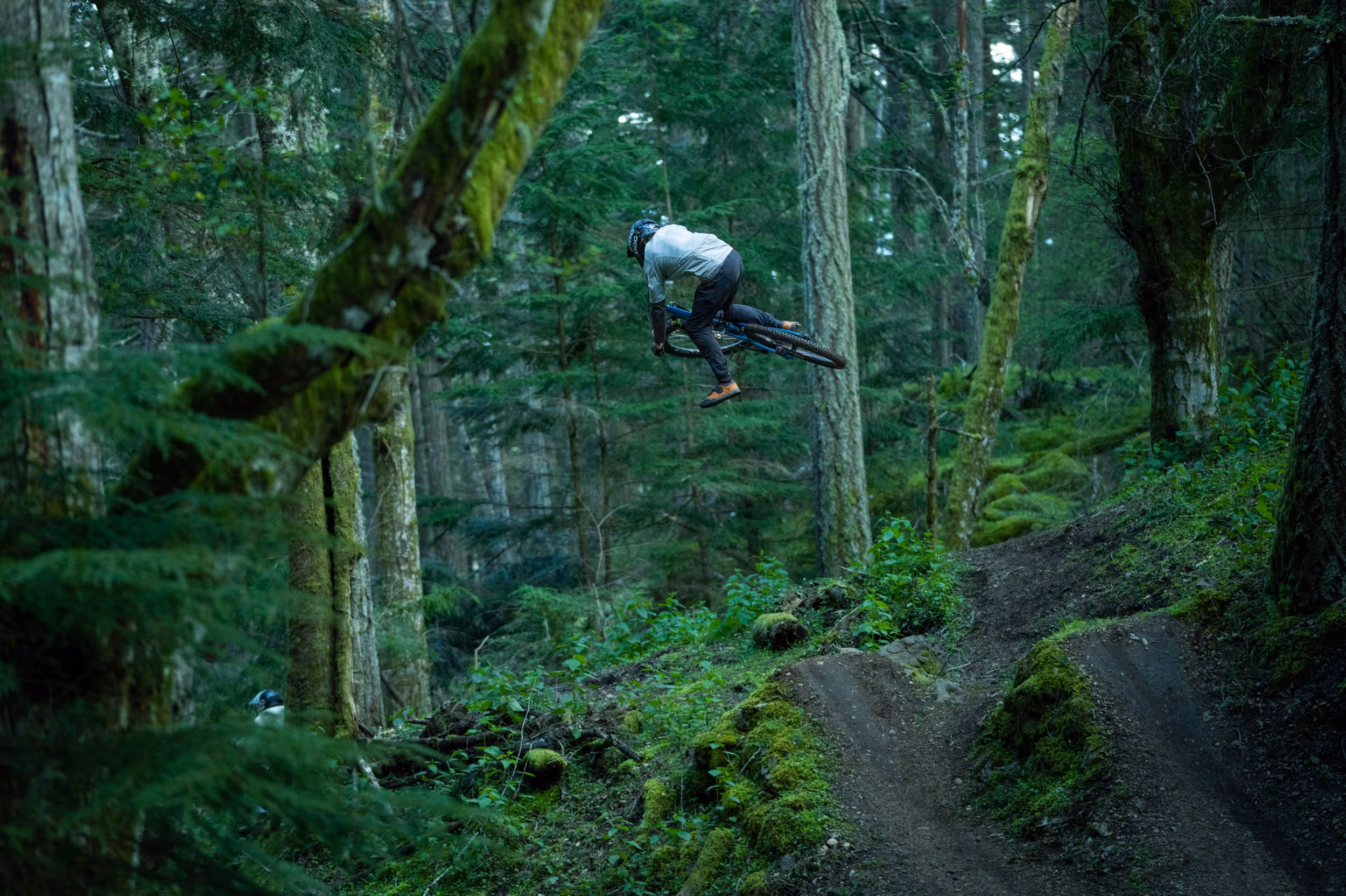 A mountain biker mid jump surrounded by a mossy forest 