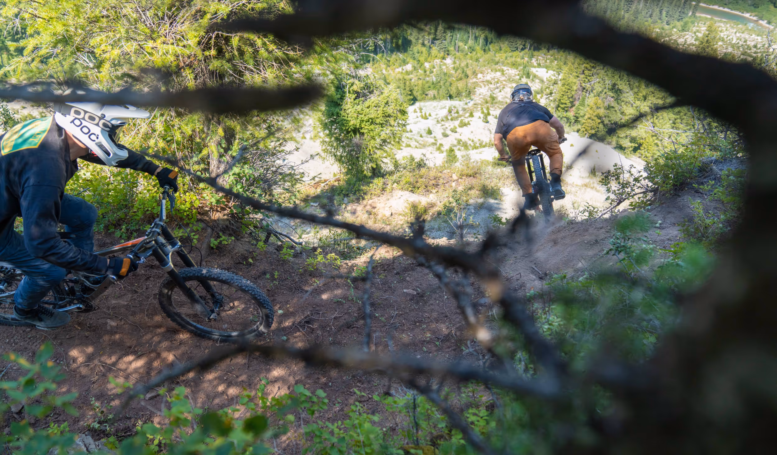 Some mountain bikers heading down the trail 