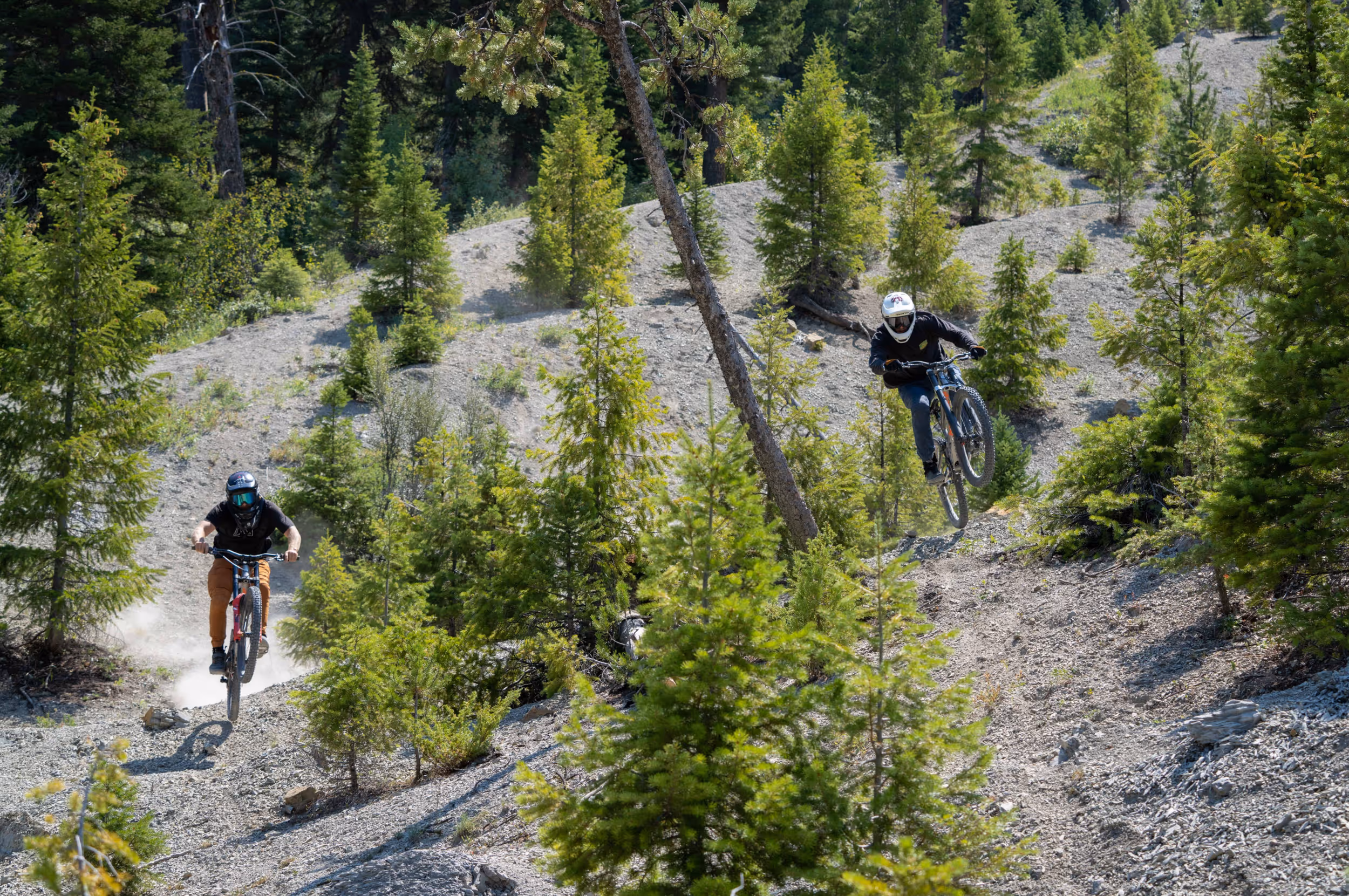 2 mountain bikers taking different routes in a fork in the trail 