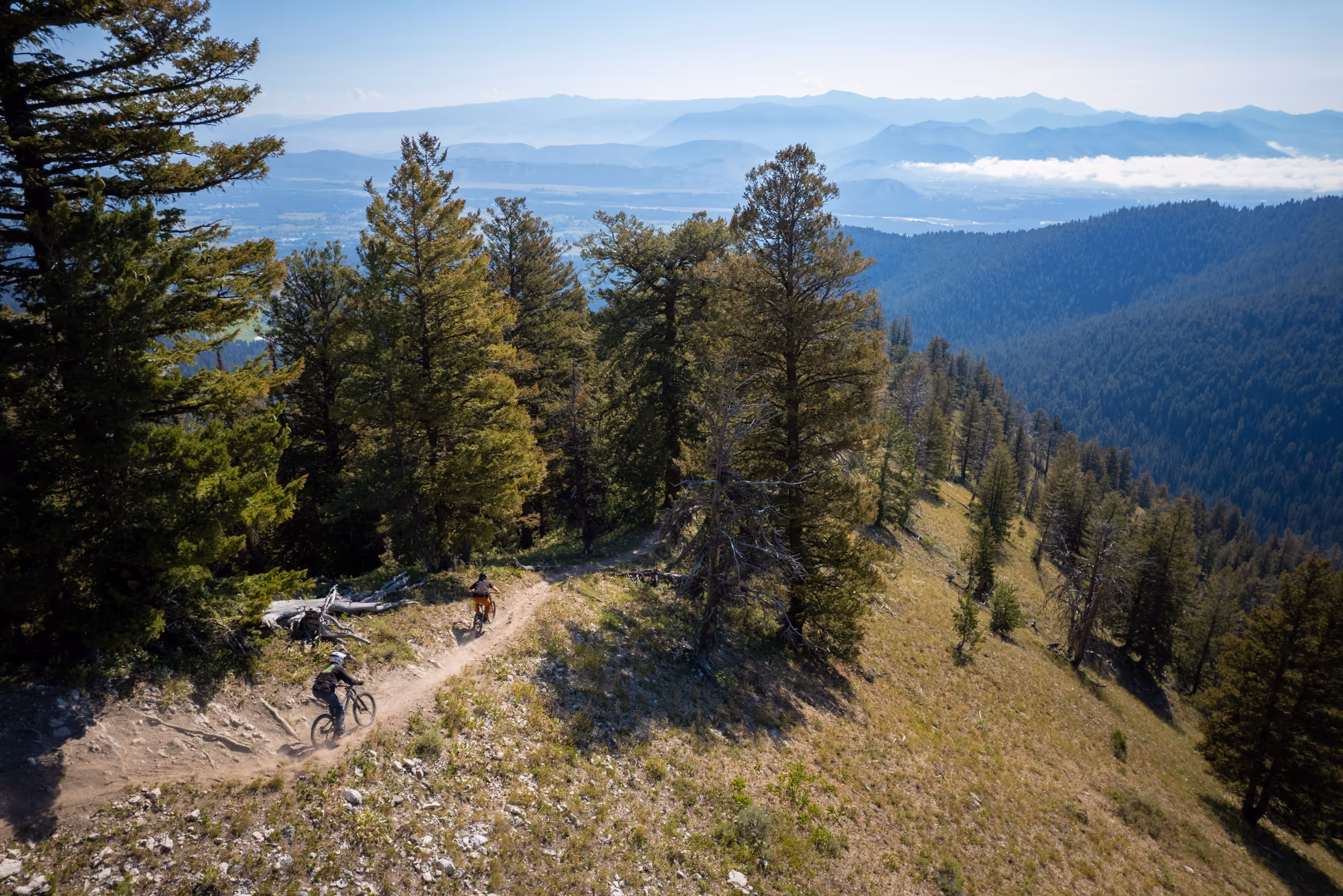 2 mountain bikers peeking through a small section of trail that barely emerges from the edge of a forest 