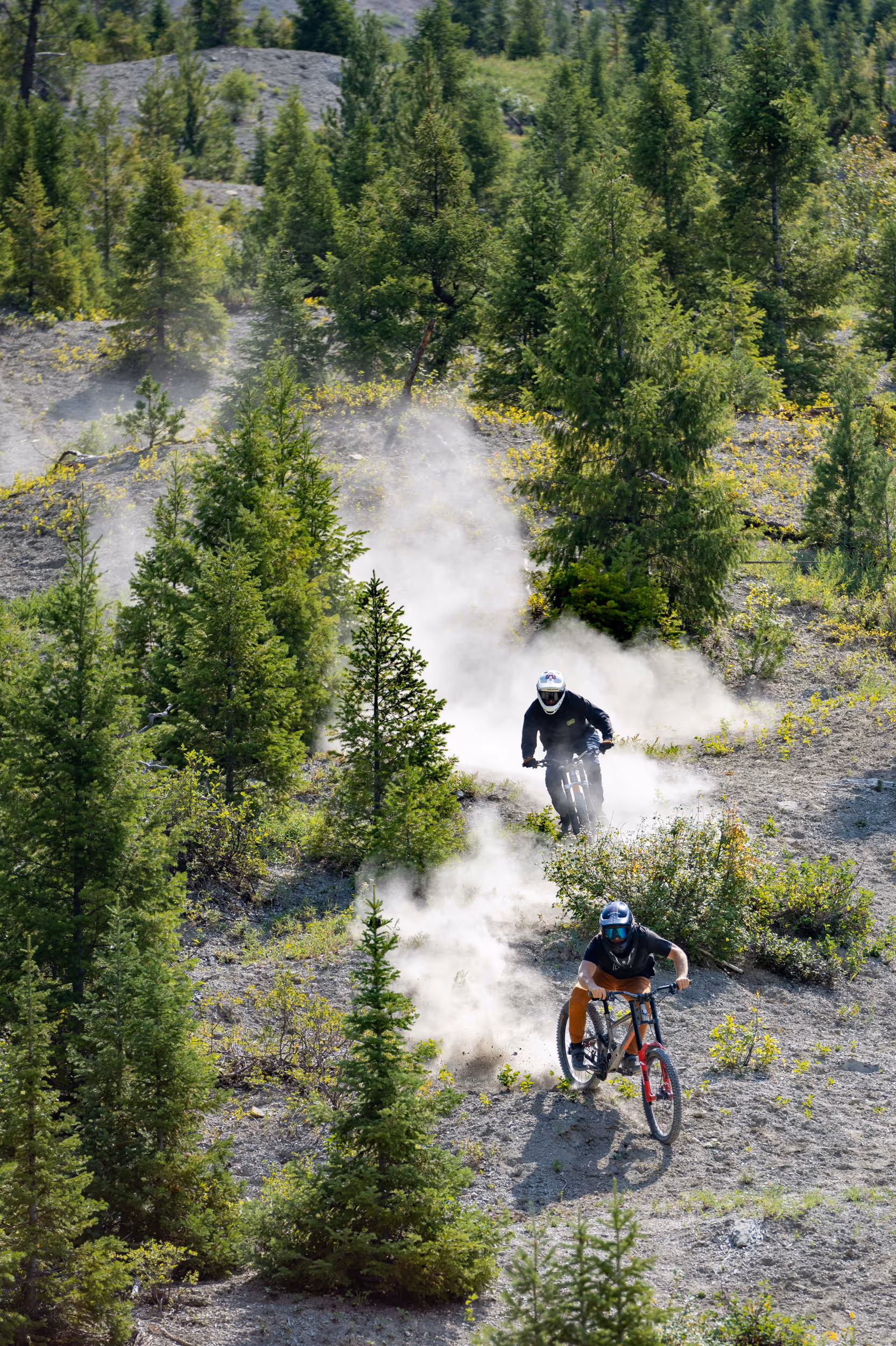 2 mountain bikers navigating their way through a wooded section of trail