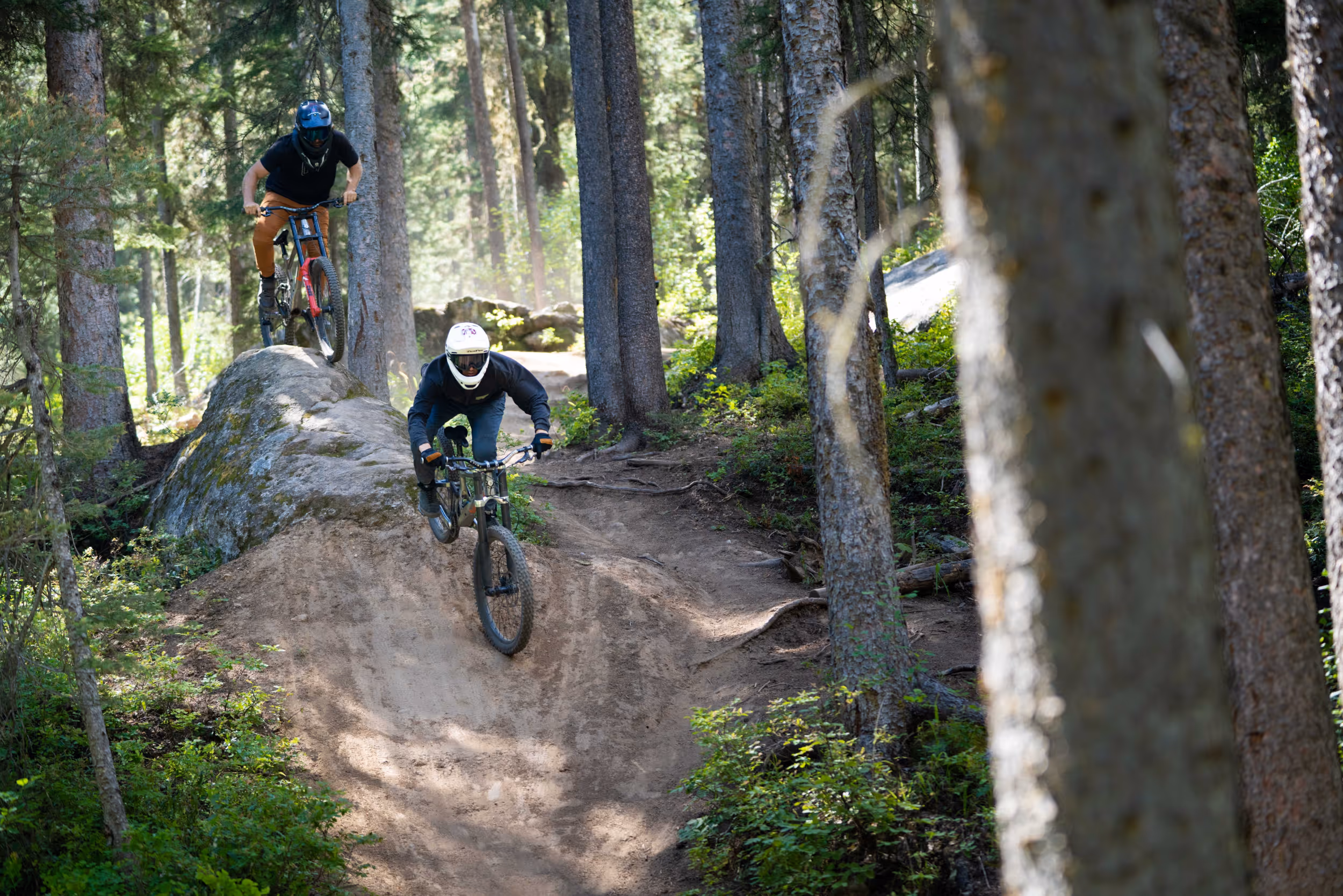2 mountain bikers coming down a rock feature on a wooded section of trail 