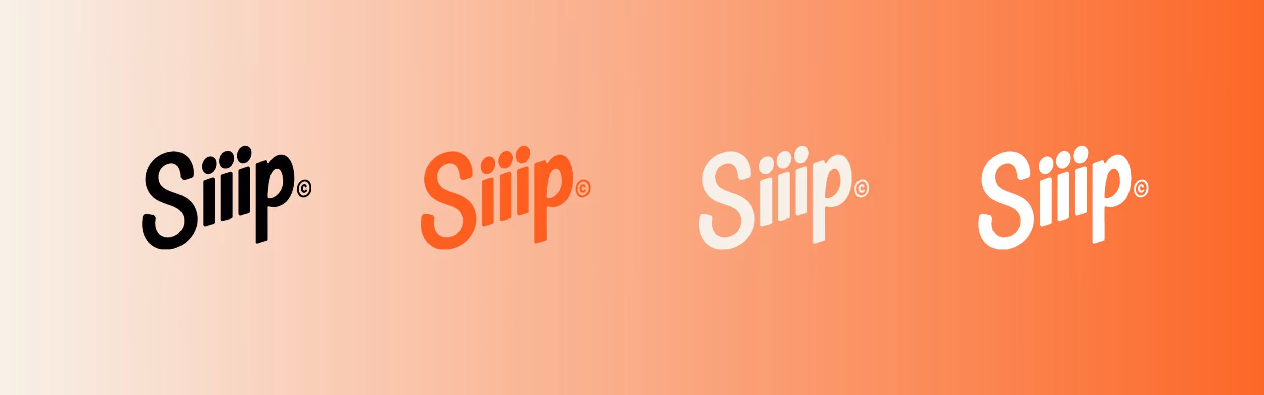 An array of Siiip brand color schemes 