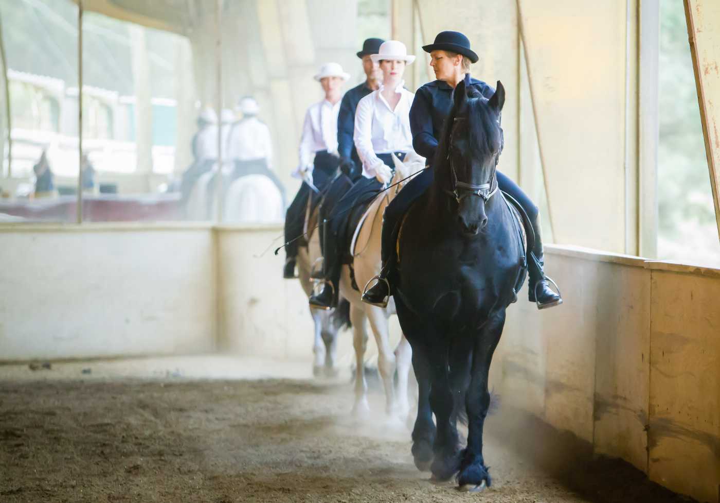 From White Horse Dressage performance