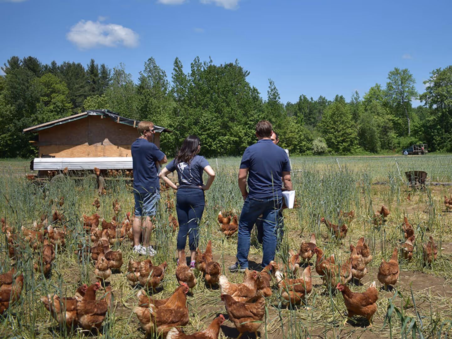 Tucker's employees visiting local farm