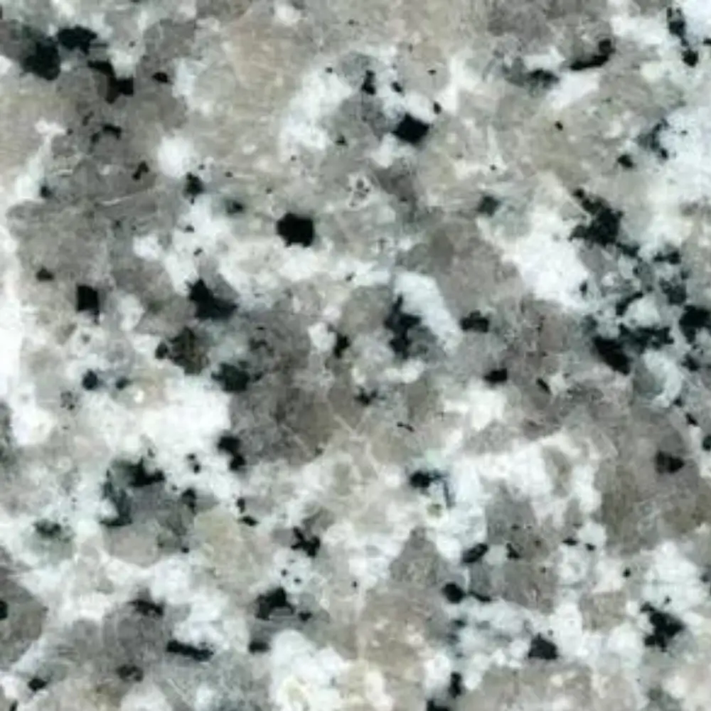 Bianco Sardo Stone: Timeless elegance in pristine white
