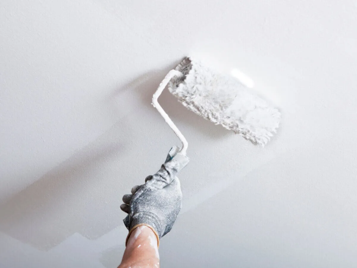Construction and Renovation