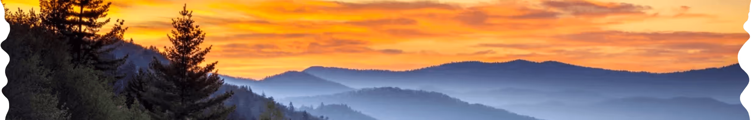 mountains with trees and with yellowish sky at the time of sunset