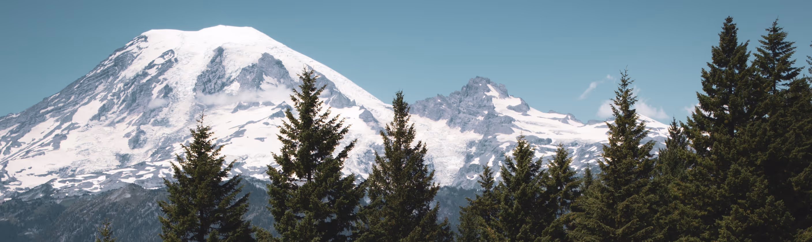 The mountain top covered with snow and surrounded by tall trees