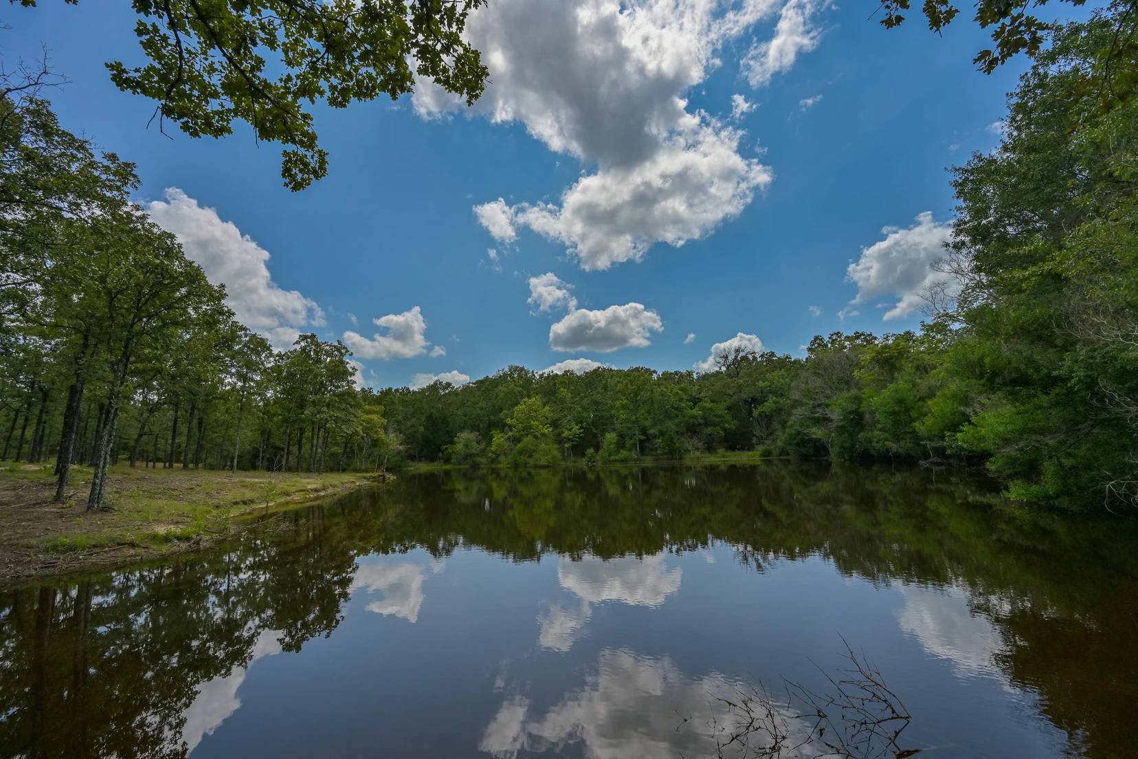 Quiet tree-lined cove with reflections on the water