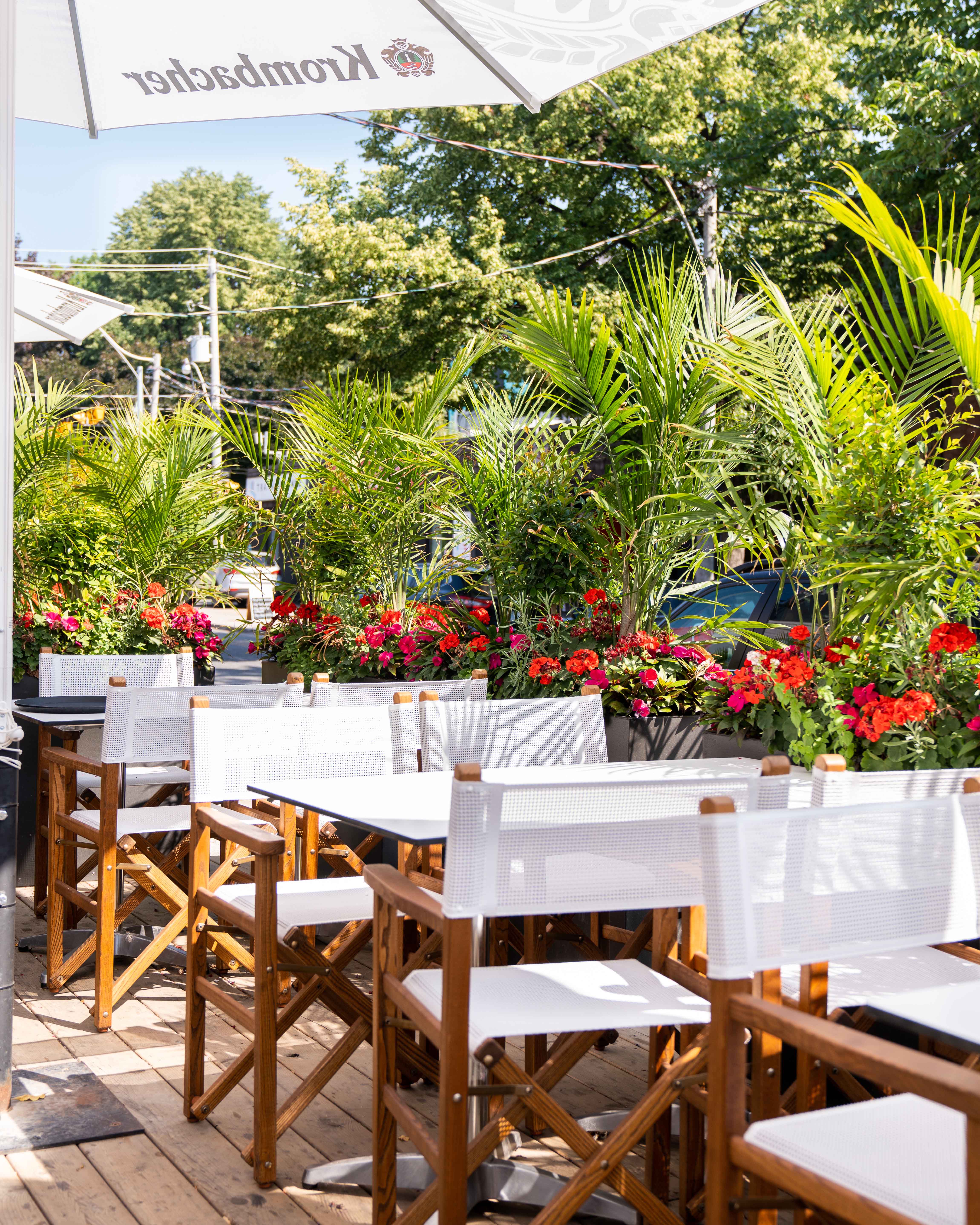Patio with white director's chairs and tables framed by palms and red flowers