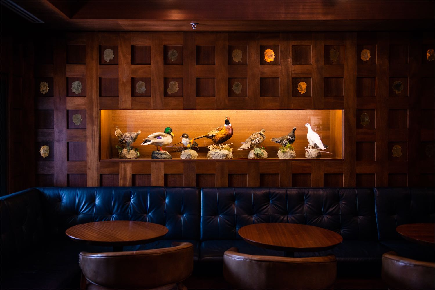 Terroni Adelaide – Photo 2