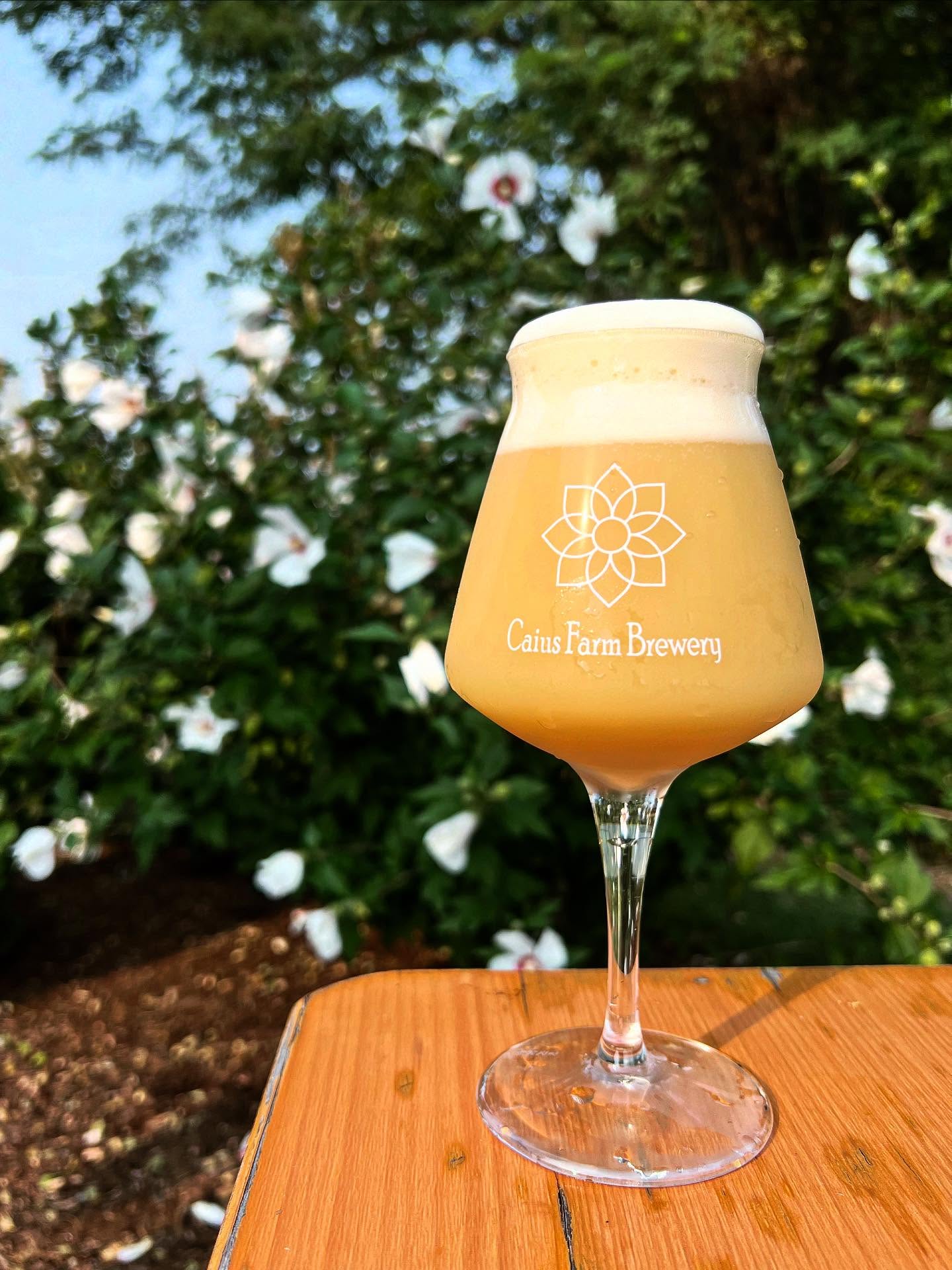 Instagram social icon, it can be clicked to reach the Caius Farm Brewery Instagram page.