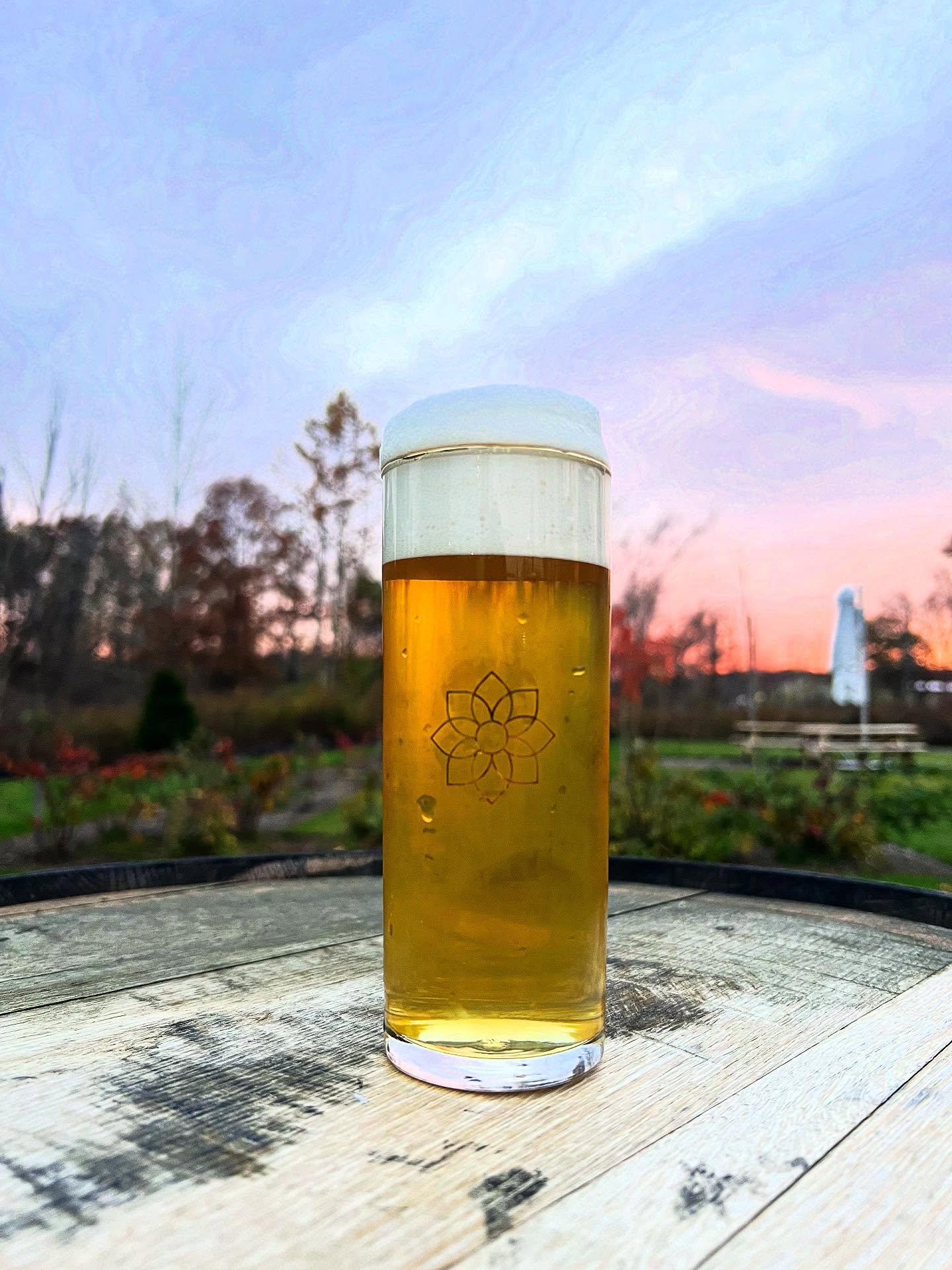 Instagram social icon, it can be clicked to reach the Caius Farm Brewery Instagram page.